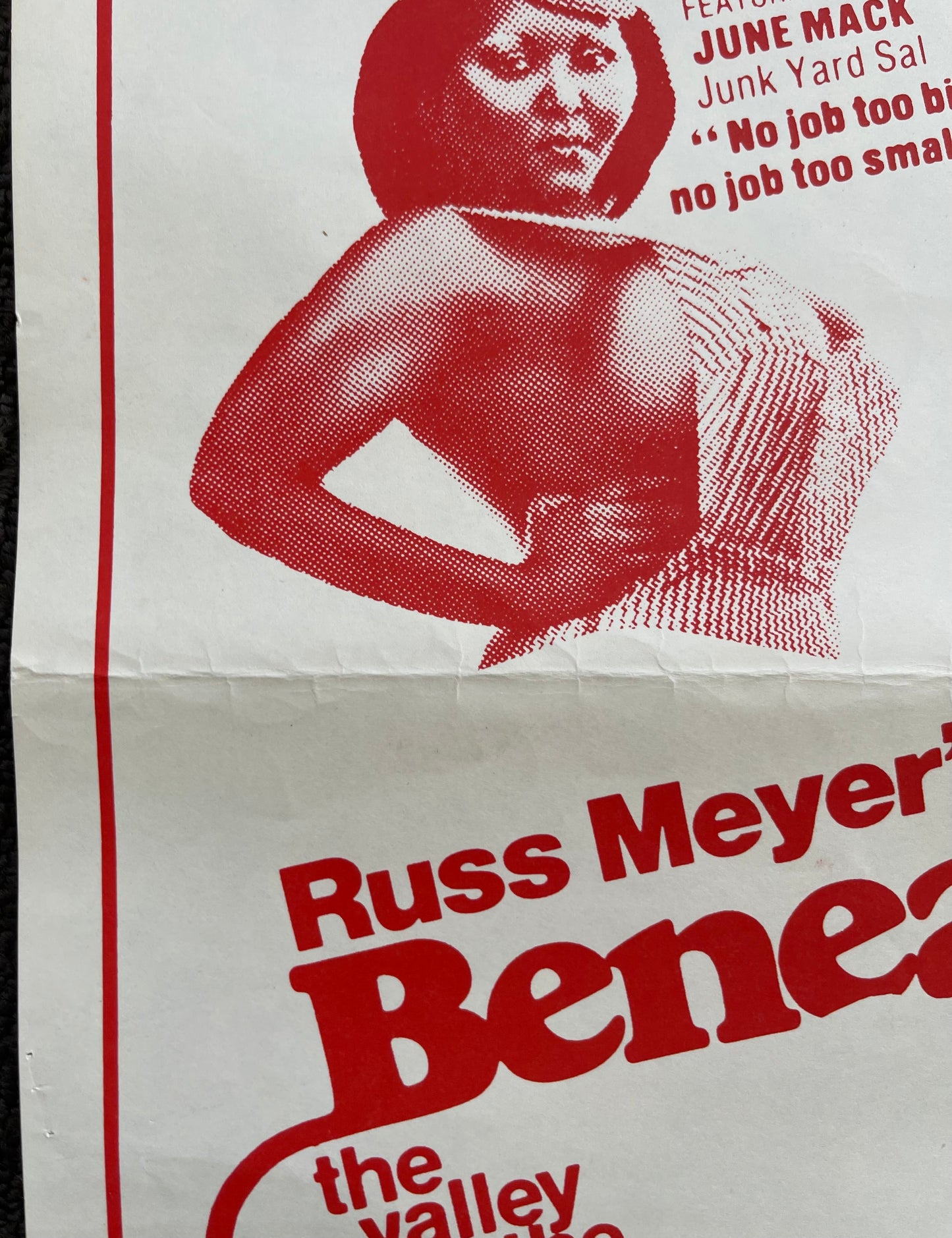 Beneath the Valley of the Ultra-Vixens (1979) - Daybill