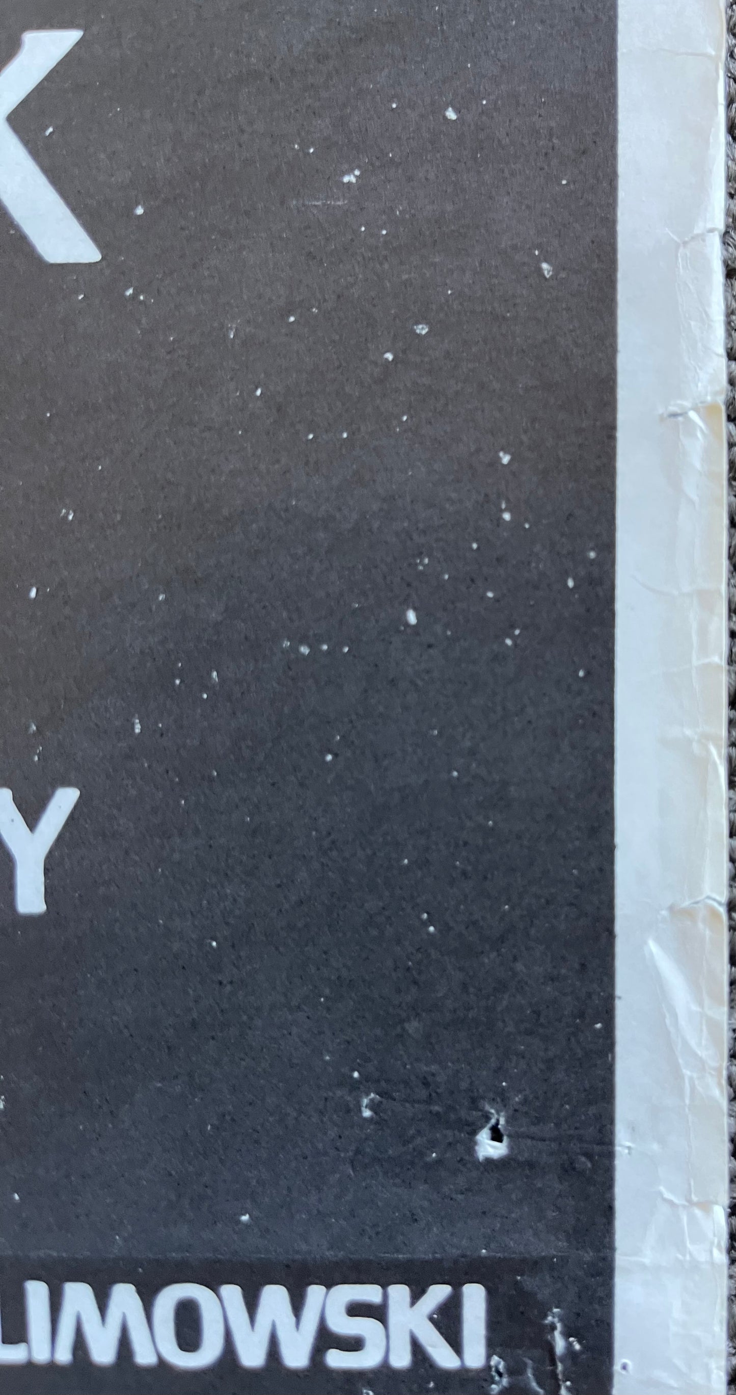 The Shout (1978) - Daybill