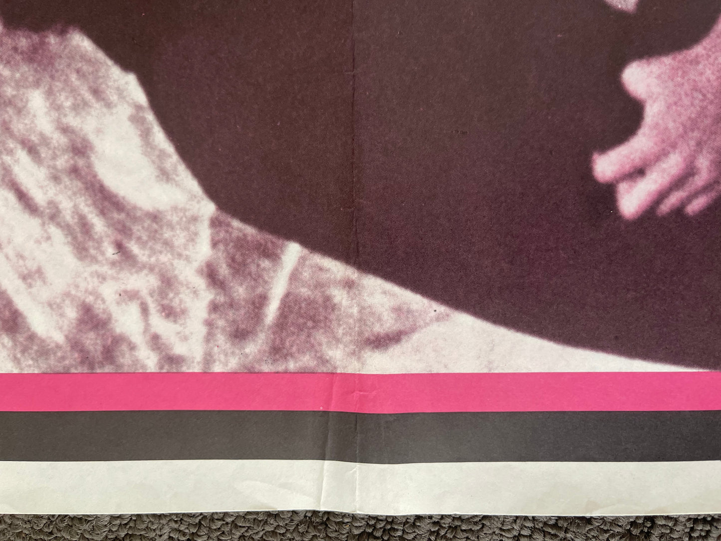 Dracula Sucks (1978) - Daybill