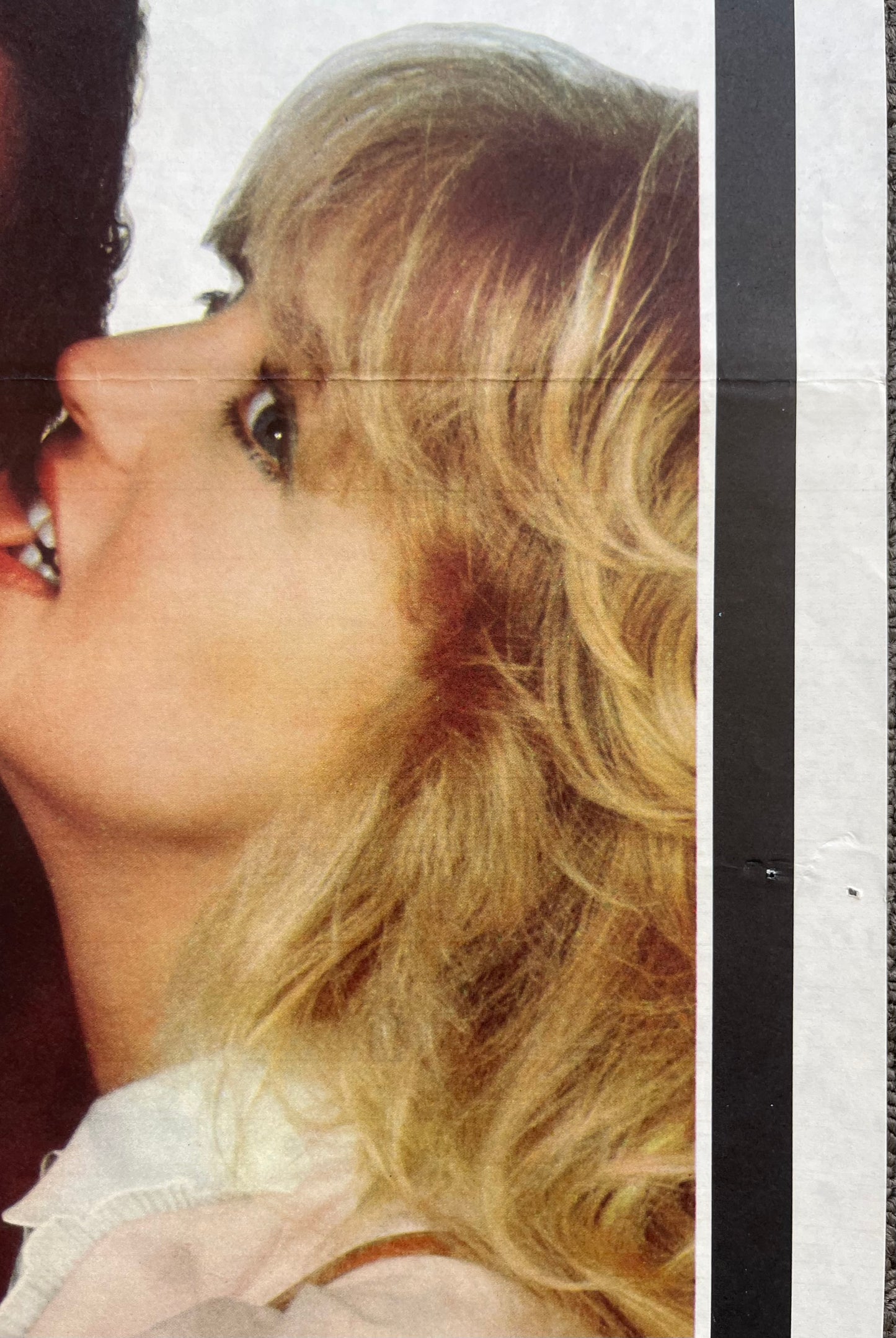 Best Friends (1982) - Daybill