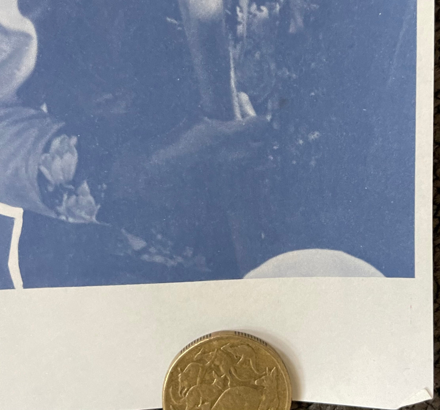 Bustin Loose (1981) - Daybill