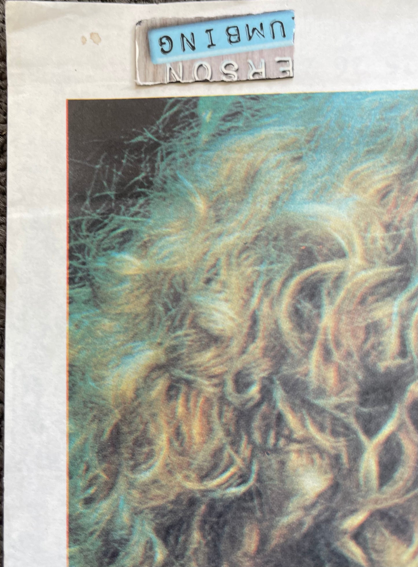 The Blue Lagoon (1980) - Daybill