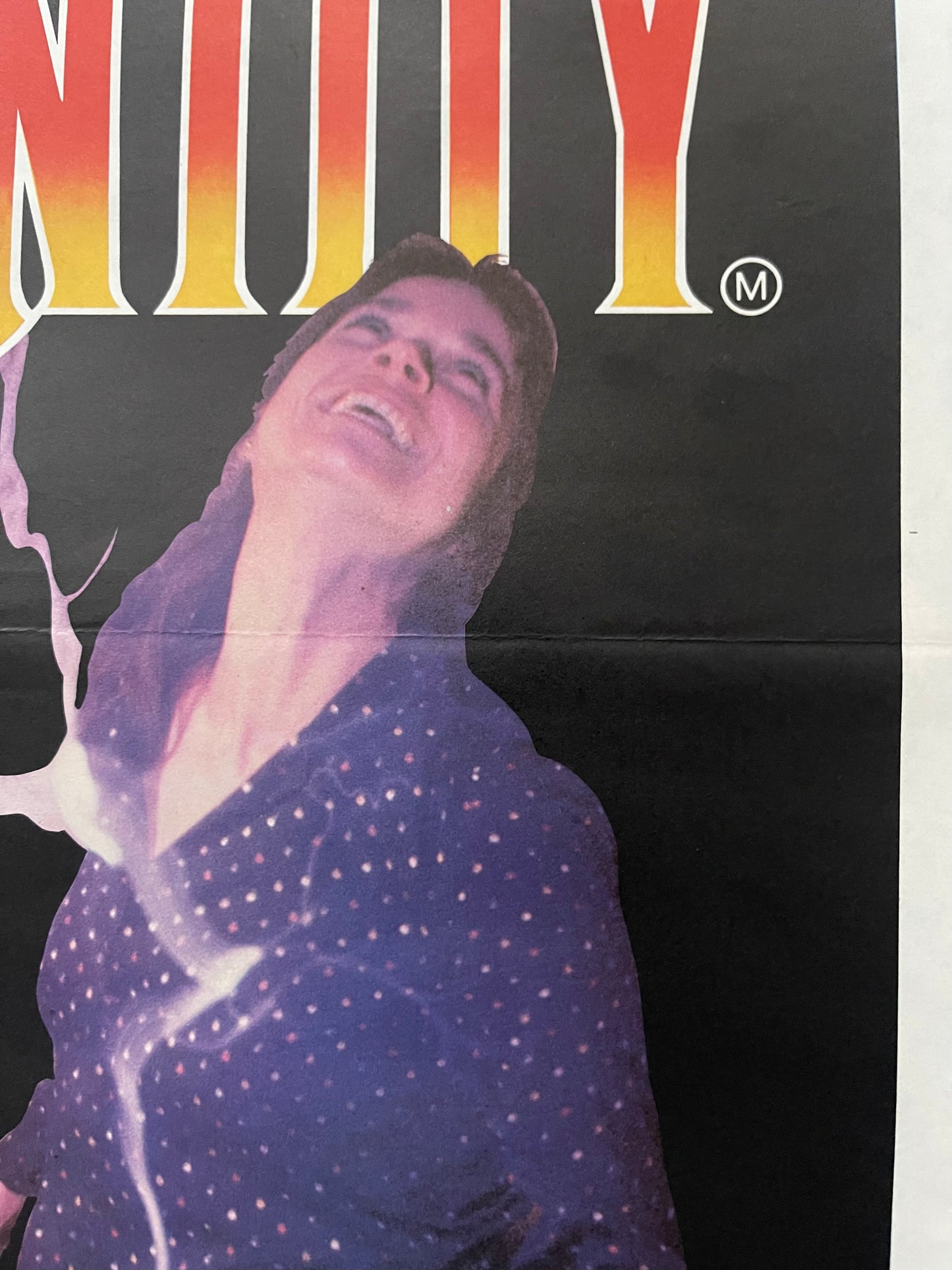 The Entity (1982) - Daybill