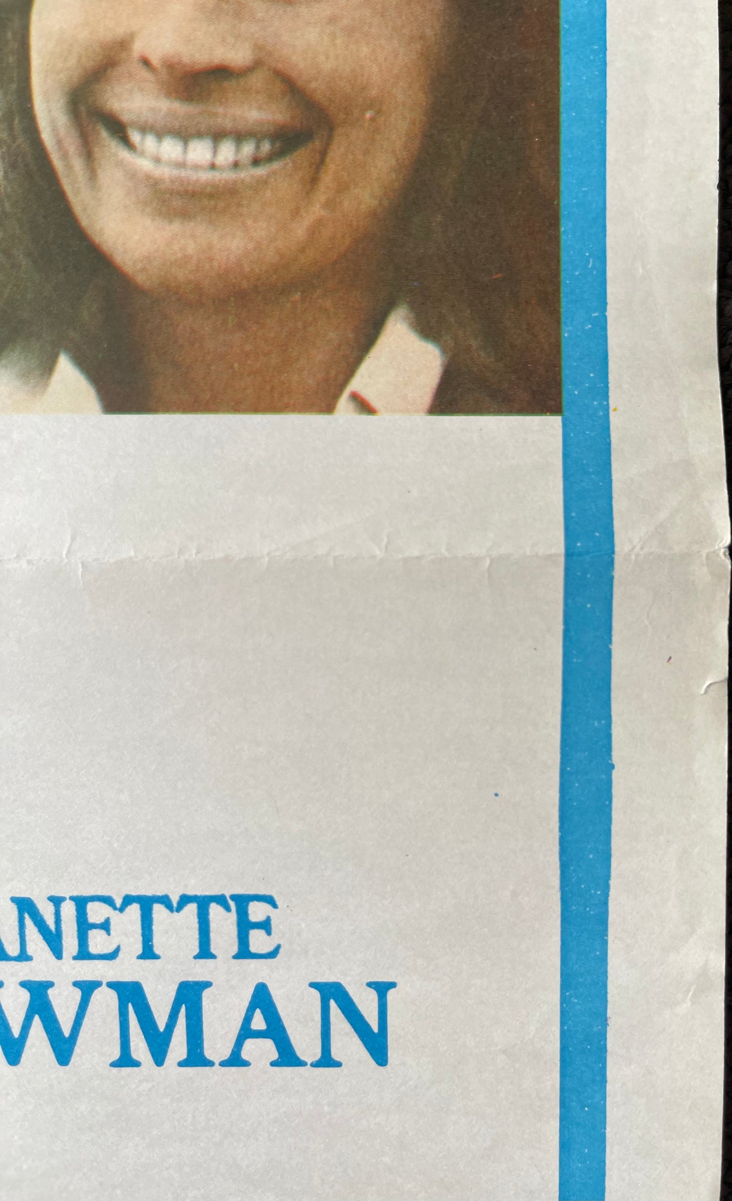 International Velvet (1978) - Daybill