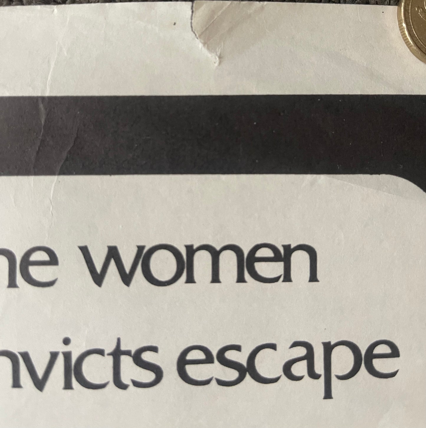 Journey Among Women (1977) - Daybill