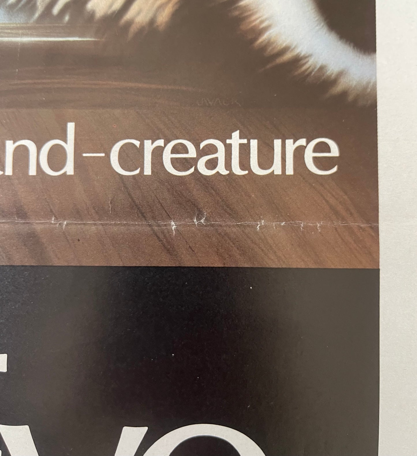 Stephen King's Cats Eye (1985) - Daybill