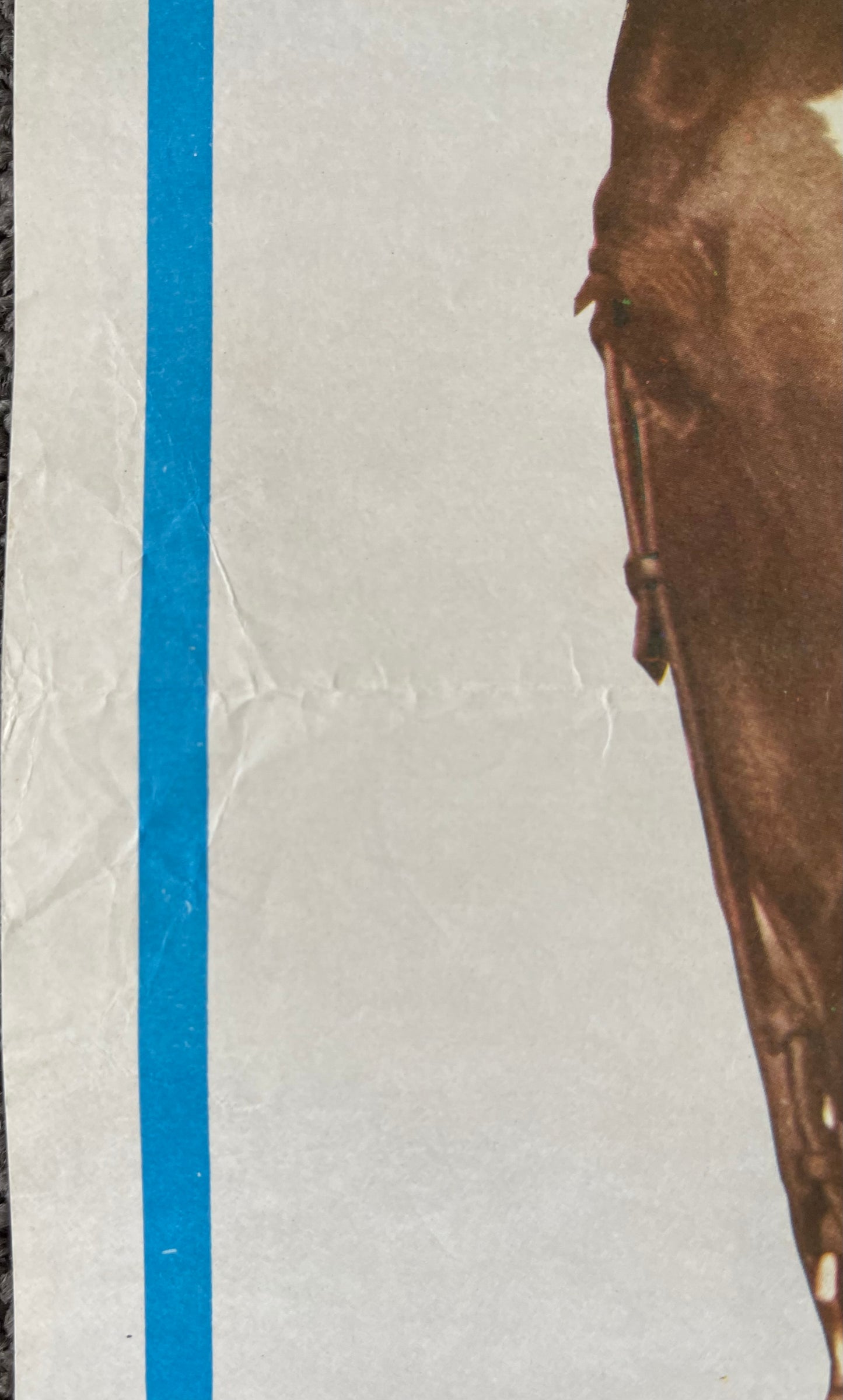 International Velvet (1978) - Daybill