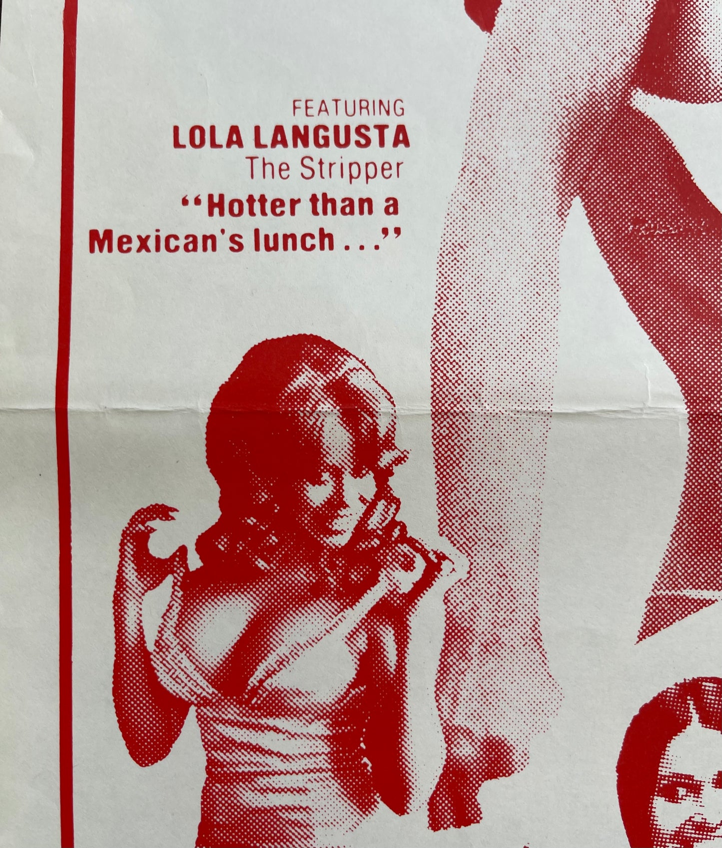 Beneath the Valley of the Ultra-Vixens (1979) - Daybill