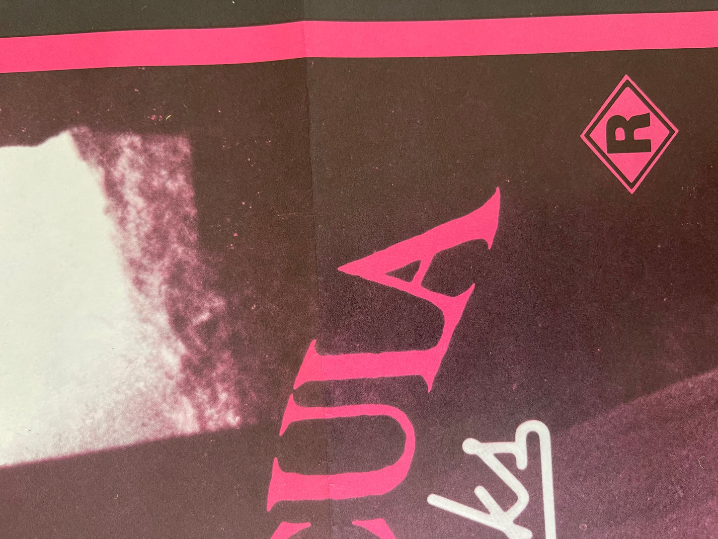 Dracula Sucks (1978) - Daybill