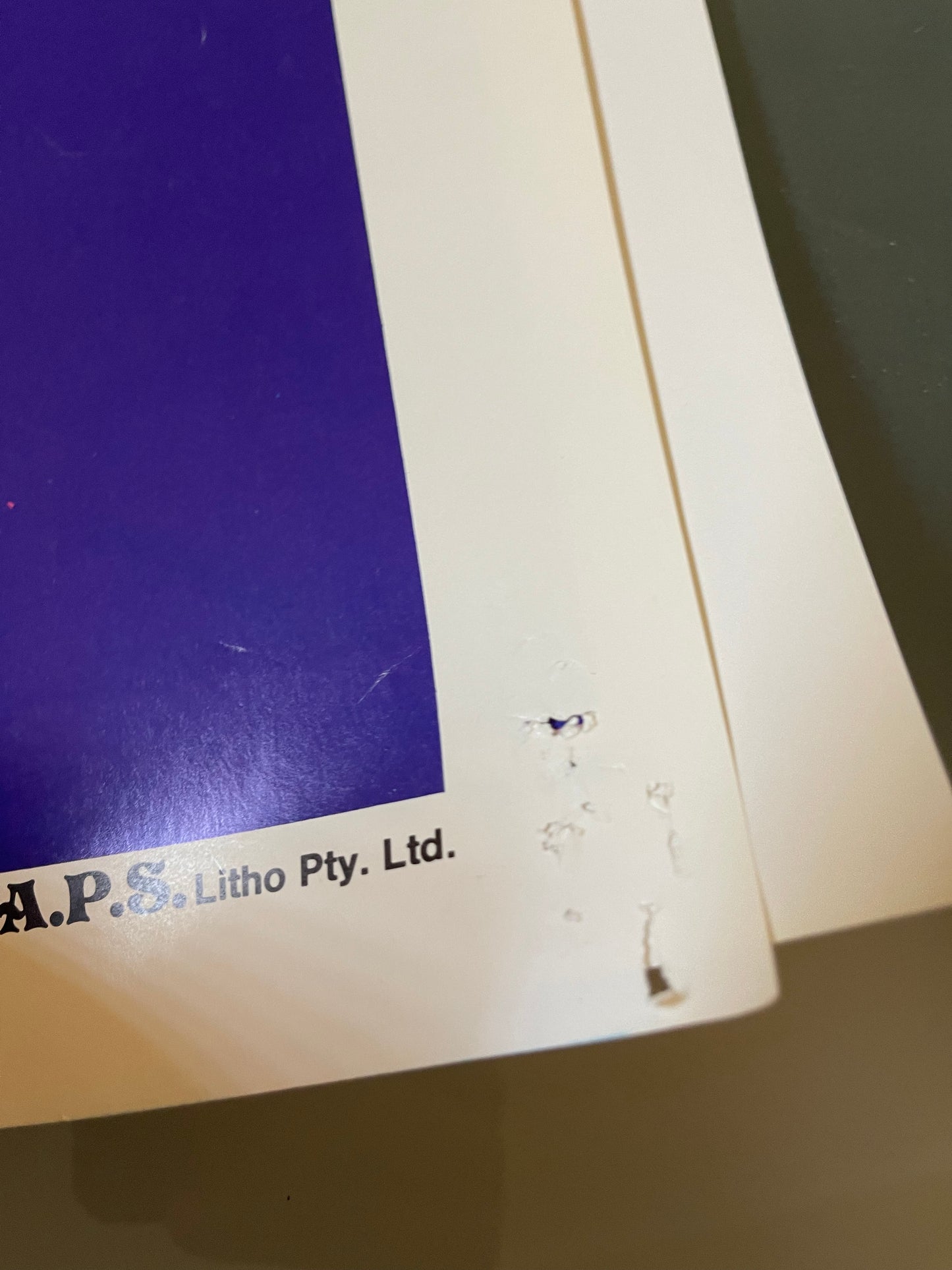 Puberty Blues (1981)- Daybill