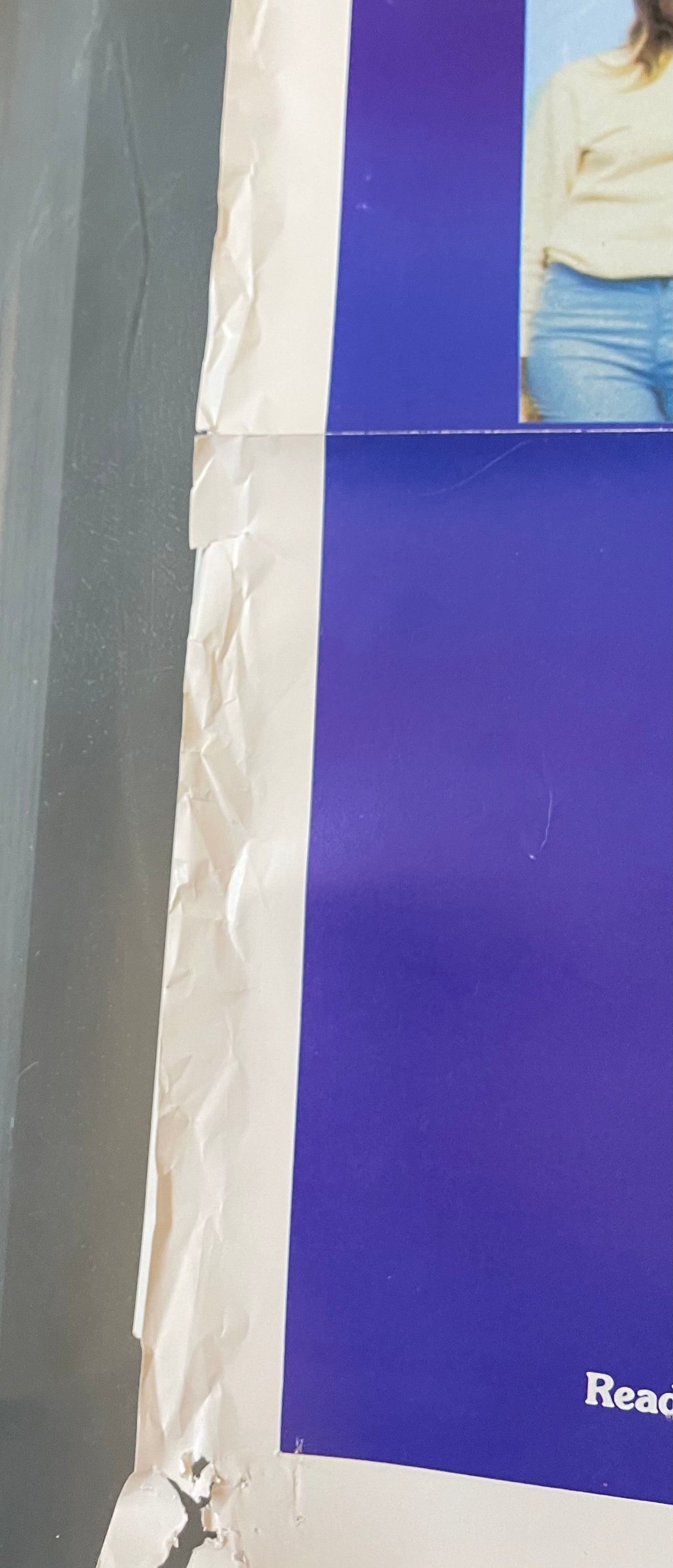 Puberty Blues (1981)- Daybill