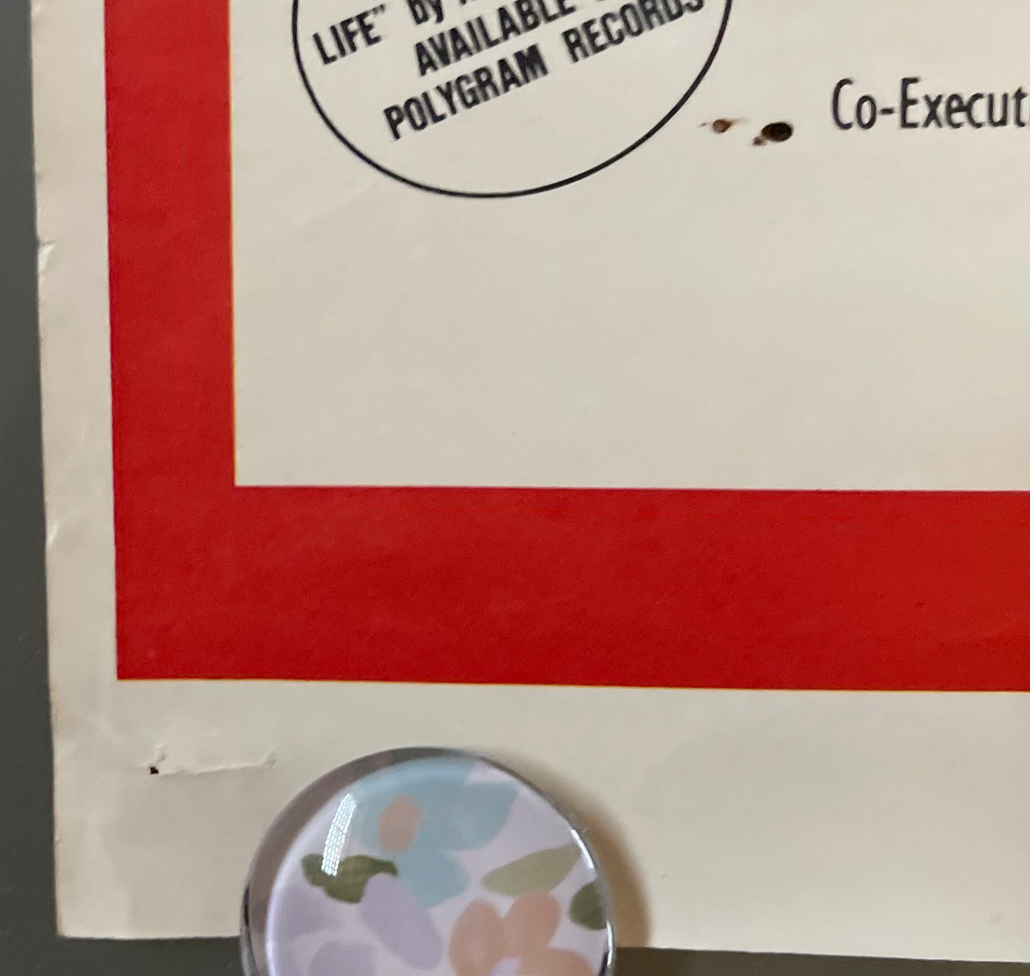 Love at First Bite (1979) - Daybill