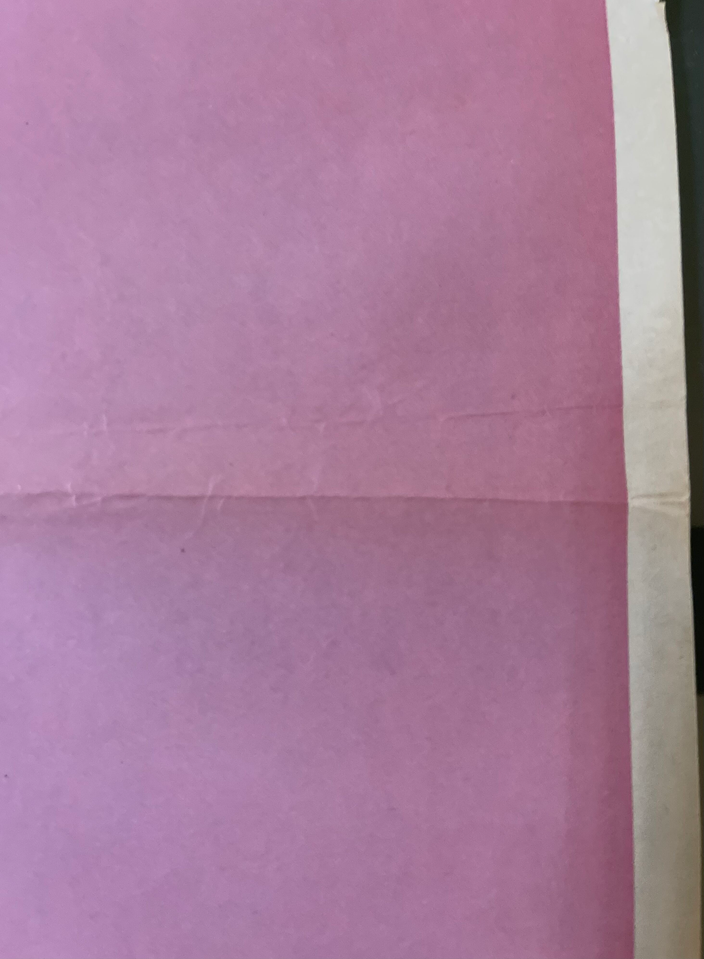 Funny Lady (1975) Barbara Streisand - Daybill