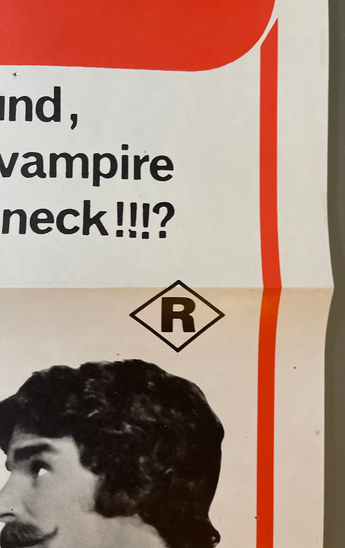 The Case of the Smiling Stiffs (1973) - Daybill