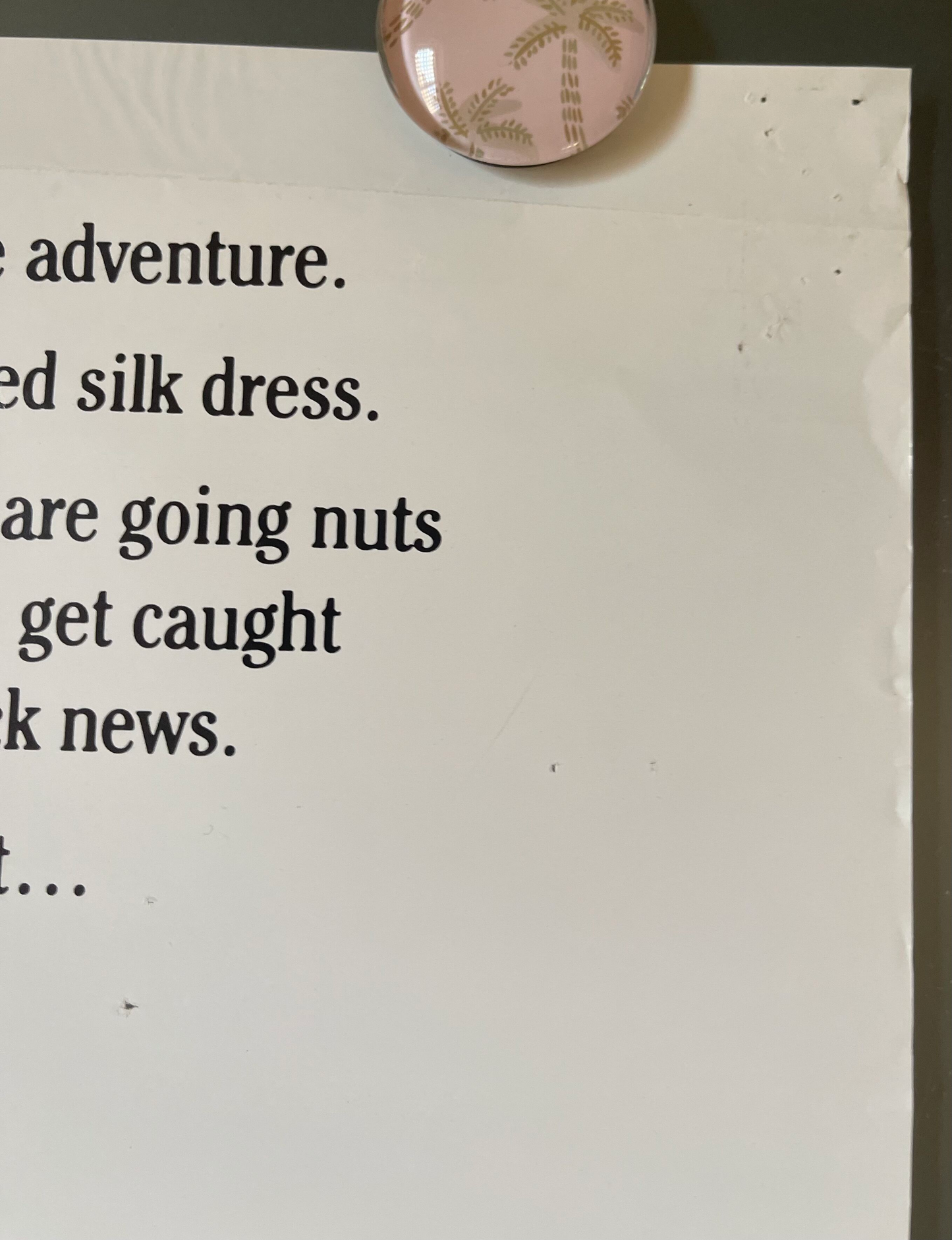 The Woman in Red (1984) - Daybill