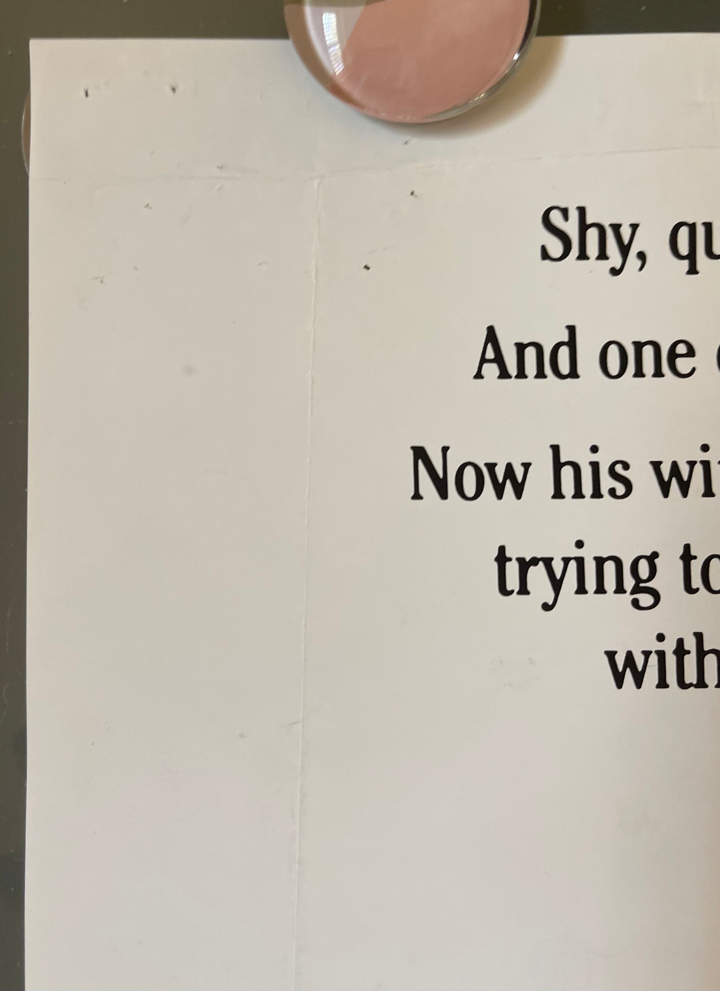 The Woman in Red (1984) - Daybill