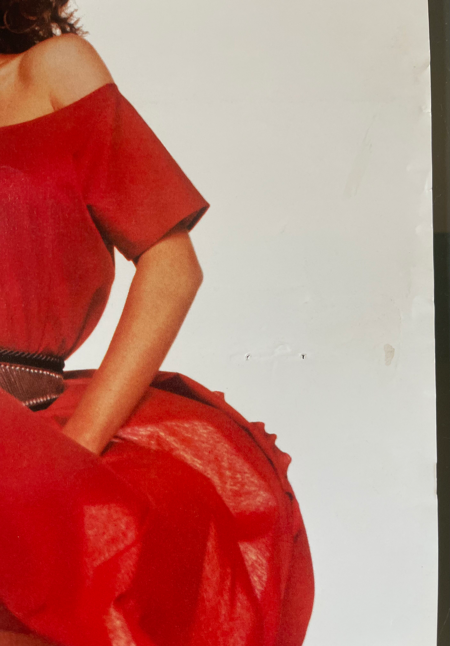 The Woman in Red (1984) - Daybill