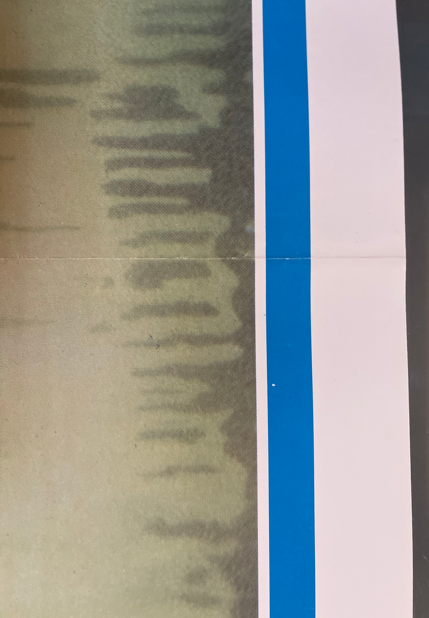 Southern Comfort (1981) - One Sheet