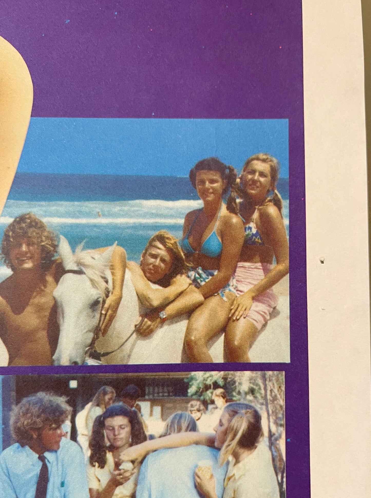 Puberty Blues (1981)- Daybill