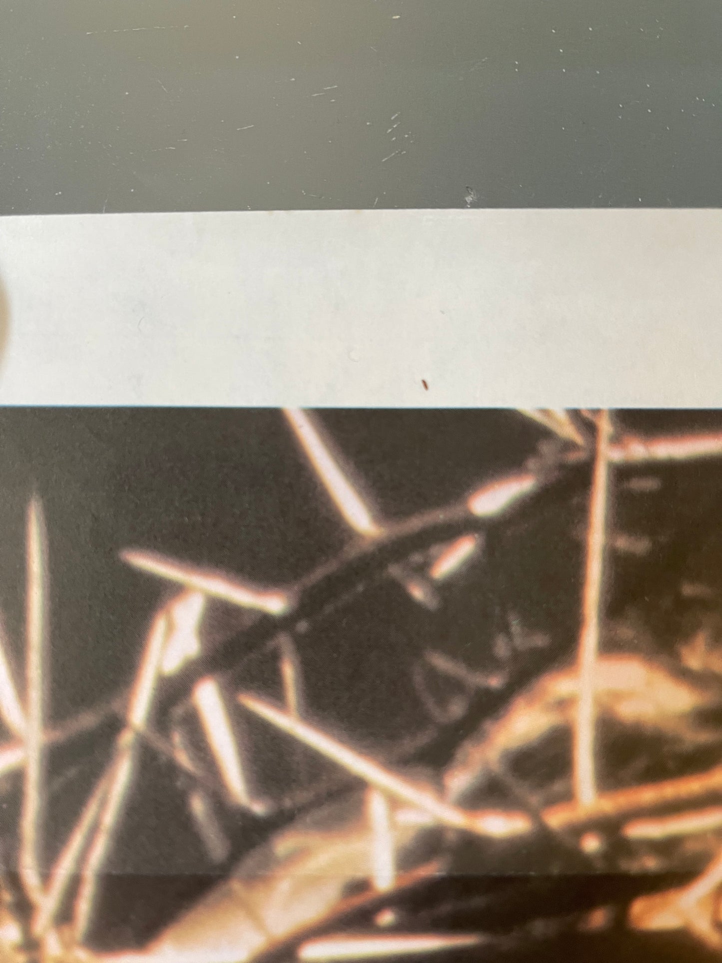 Jesus Of Nazareth (1977) - Daybill