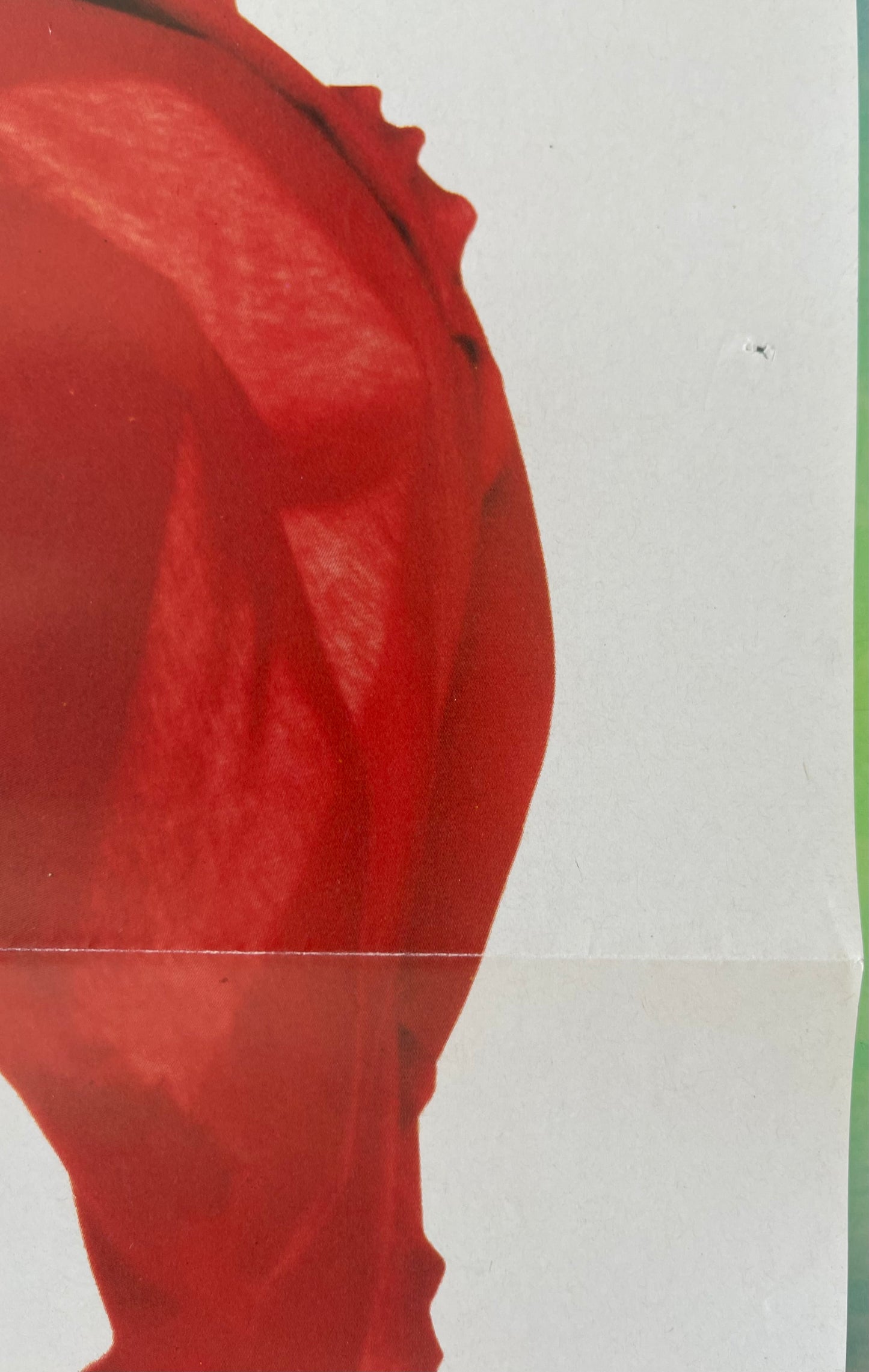 The Woman in Red (1984) - One Sheet