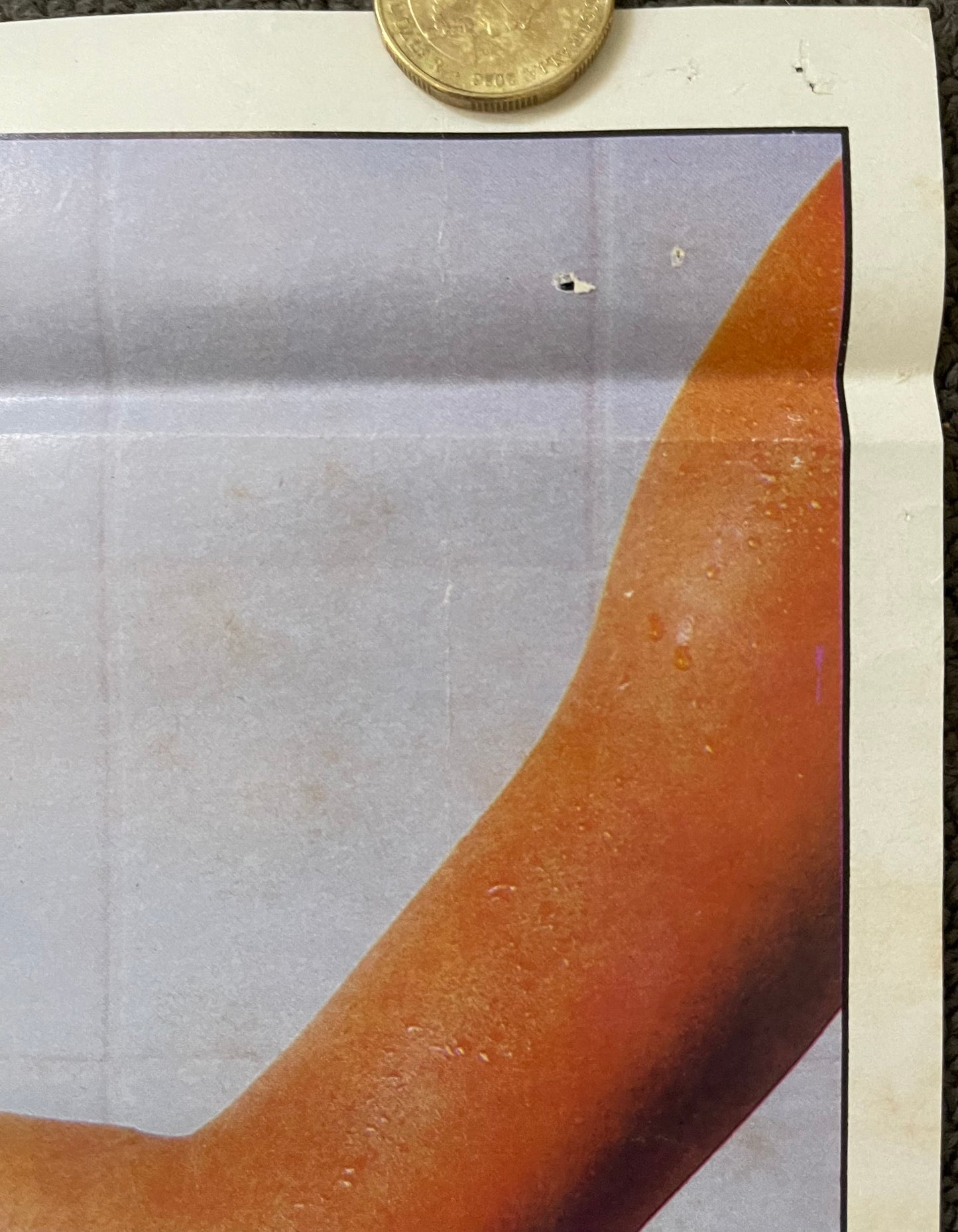 Porky’s (1981) - Daybill