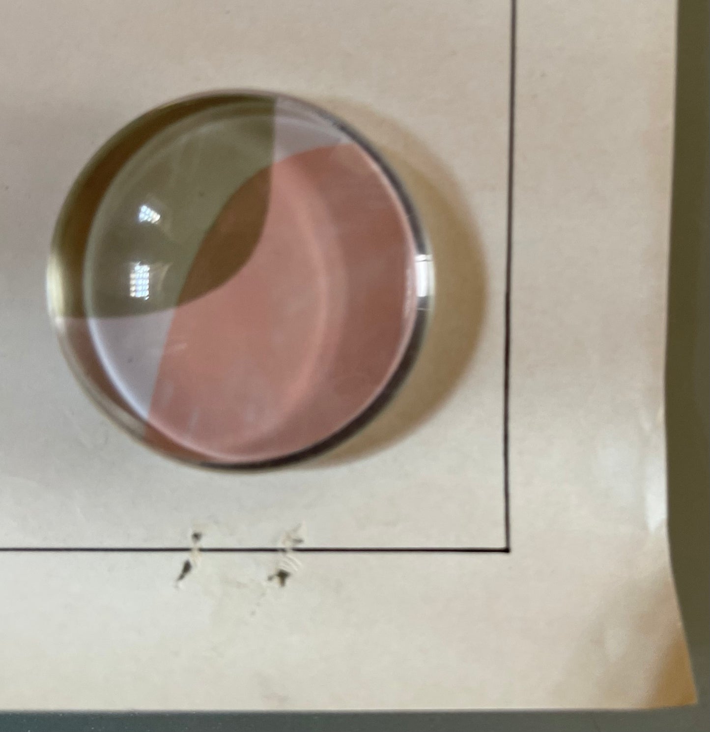 The Whoopee Boys (1986) - Daybill