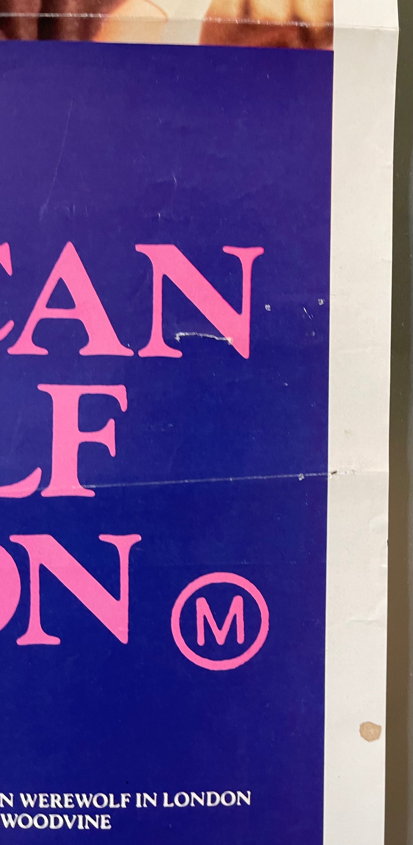 An American Werewolf in London (1981) - Daybill