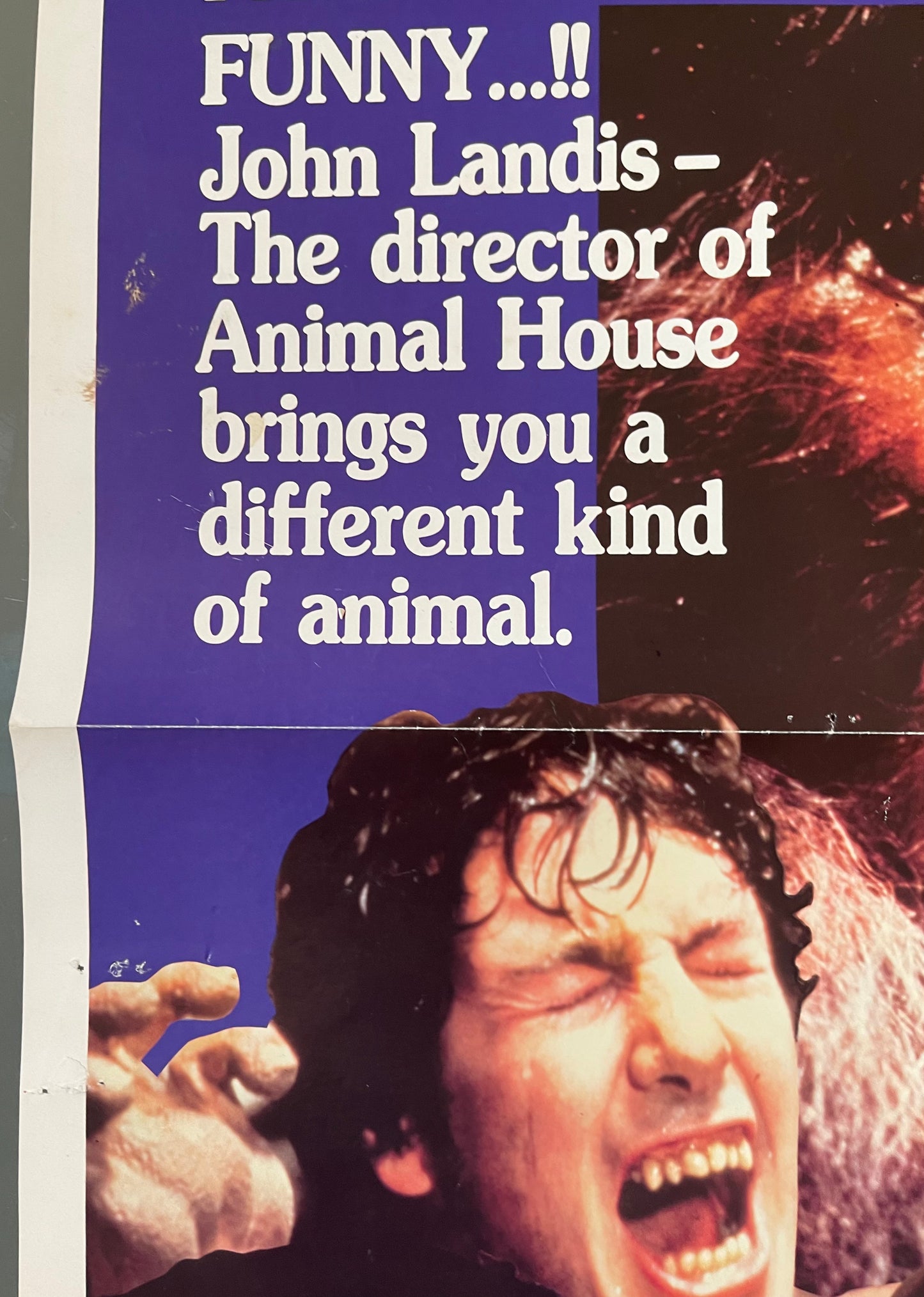 An American Werewolf in London (1981) - Daybill