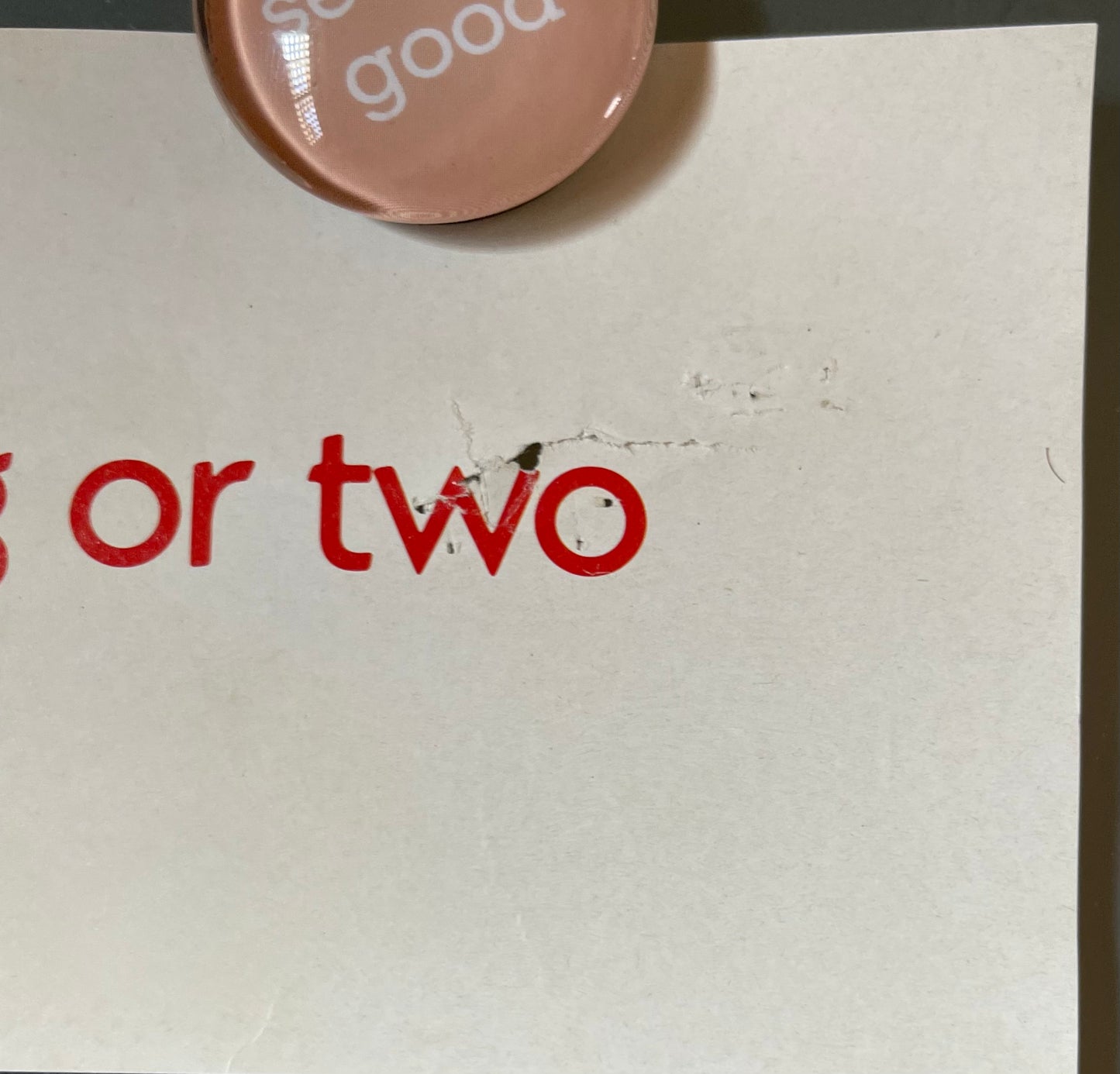 The Whoopee Boys (1986) - Daybill