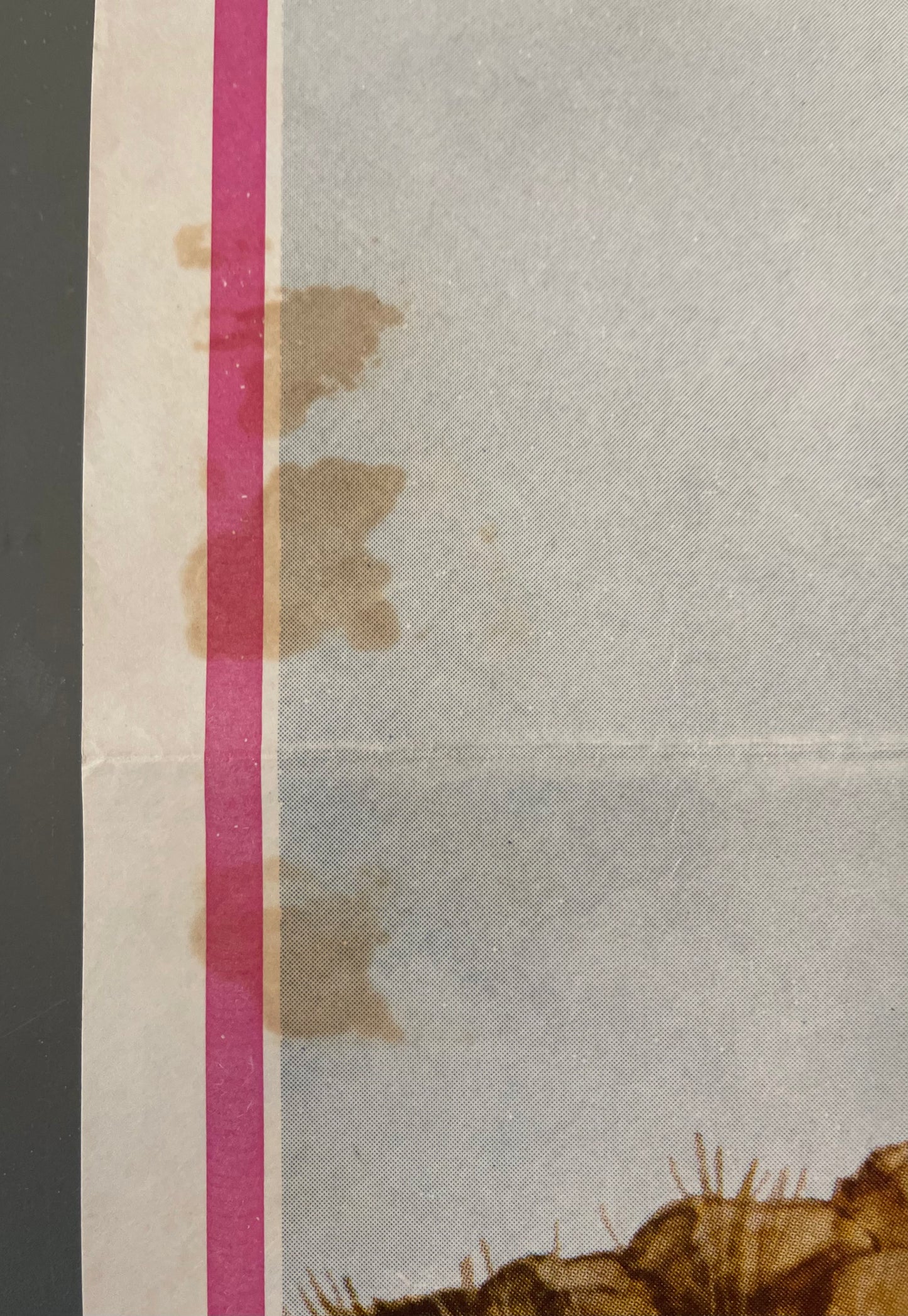 Picnic at Hanging Rock (1975) - Daybill