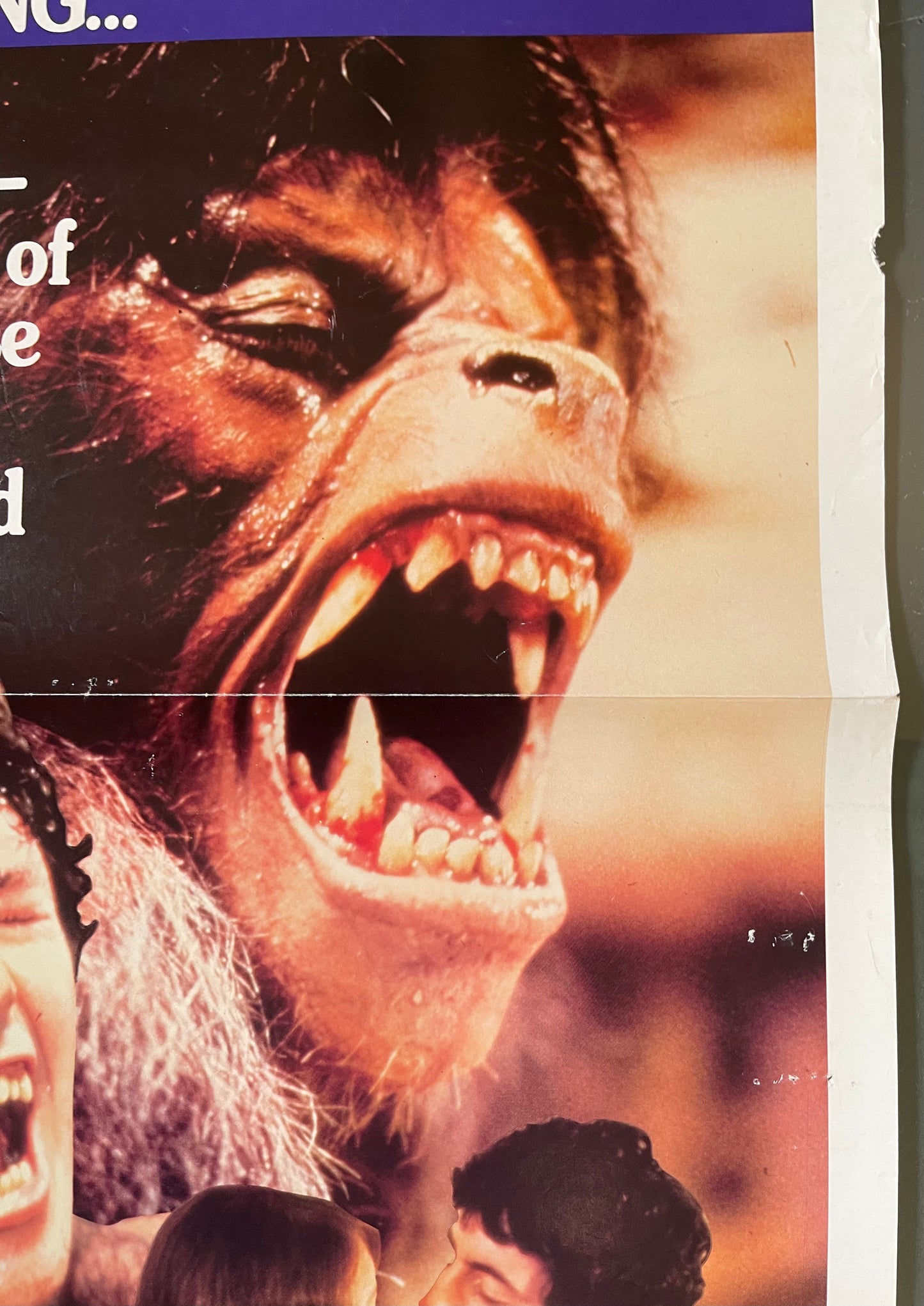 An American Werewolf in London (1981) - Daybill