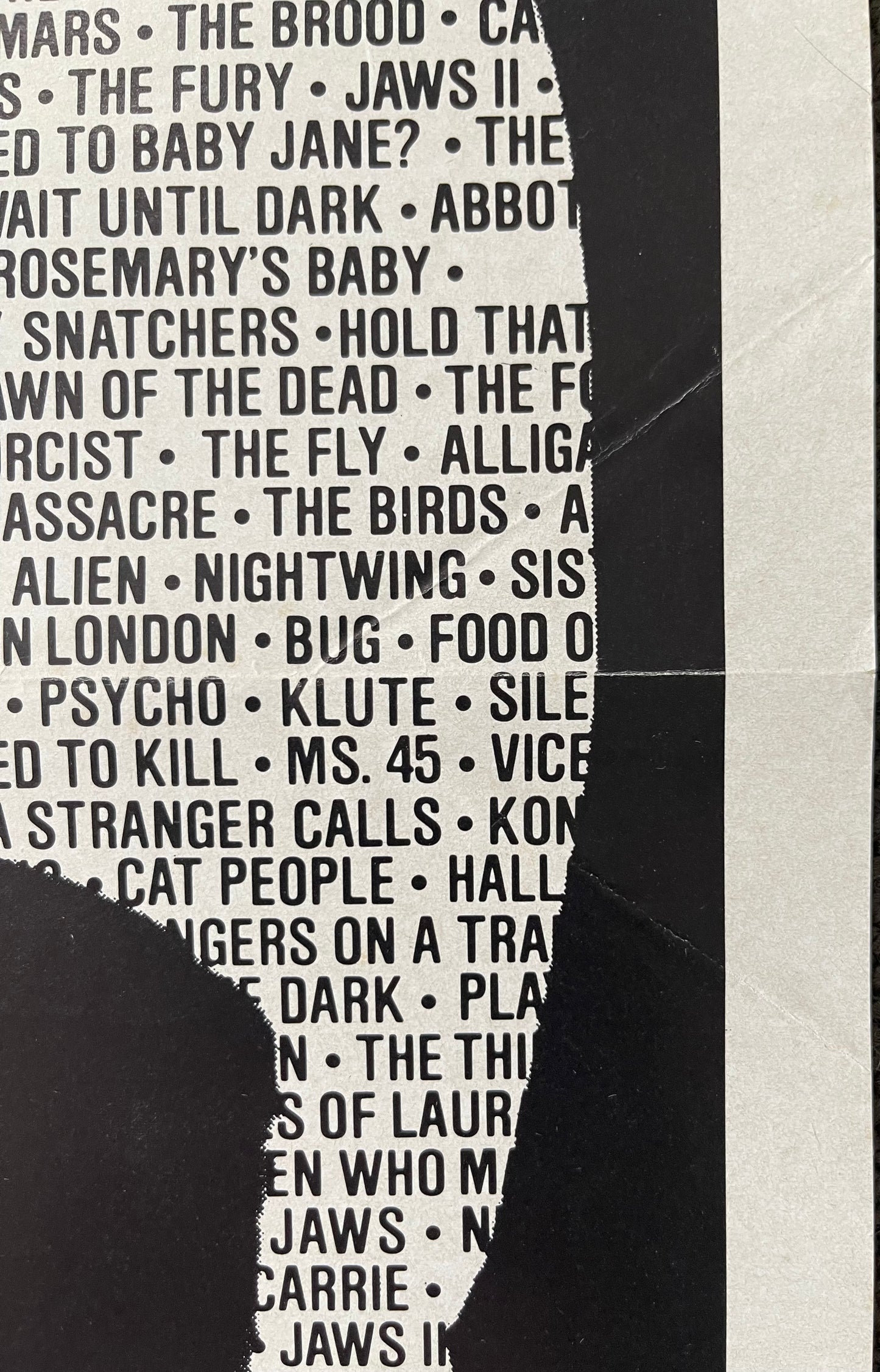 Terror In The Aisles (1984) - Daybill