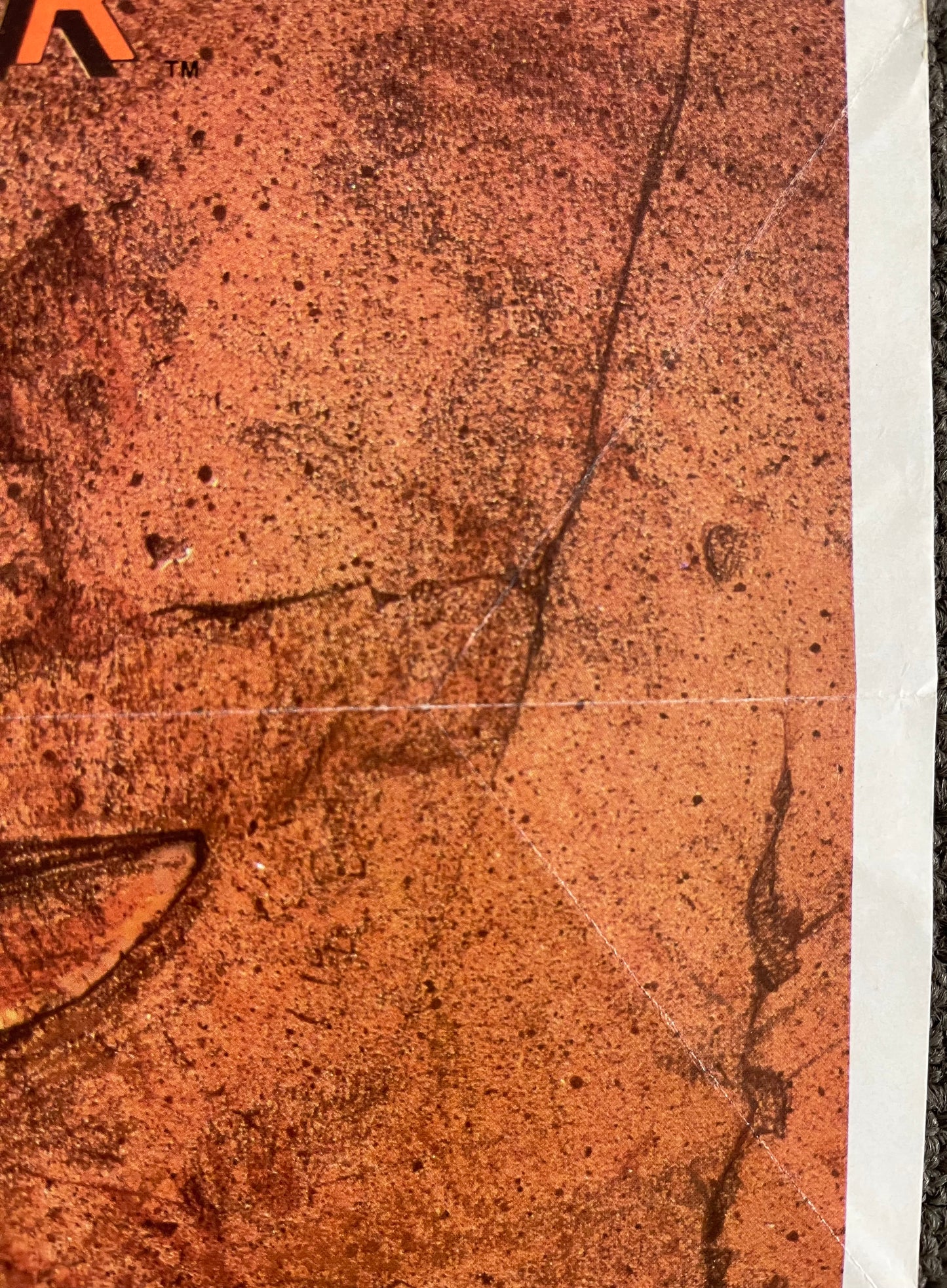 Raiders Of The Lost Ark (1981) - Daybill