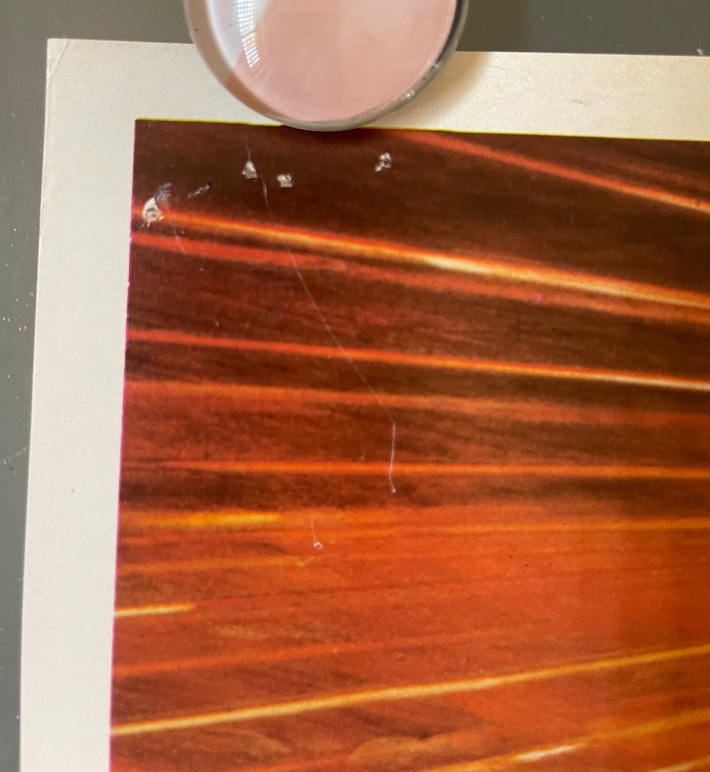 Quest for Fire (1981) - Daybill