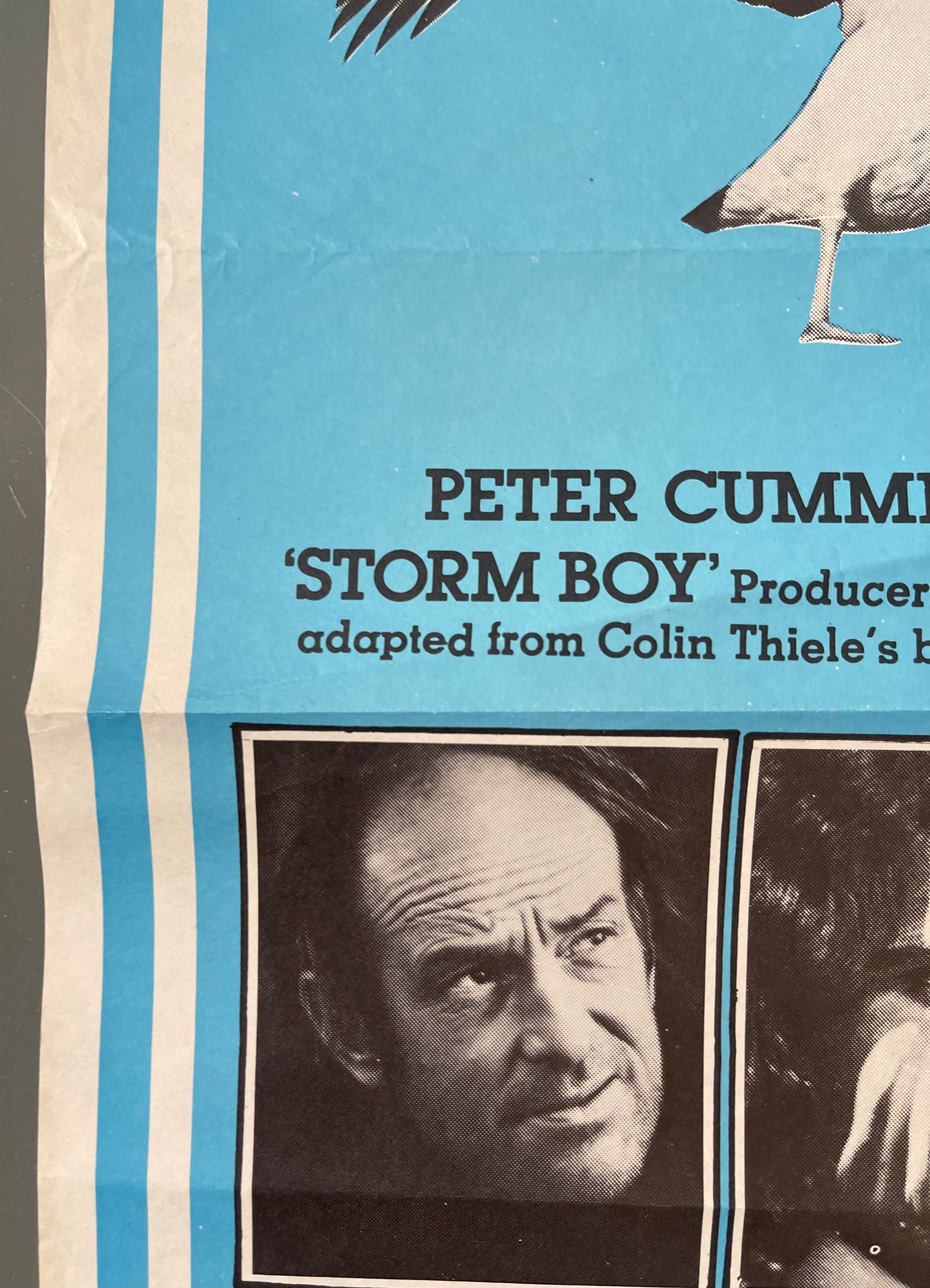 Storm Boy (1976) - Daybill