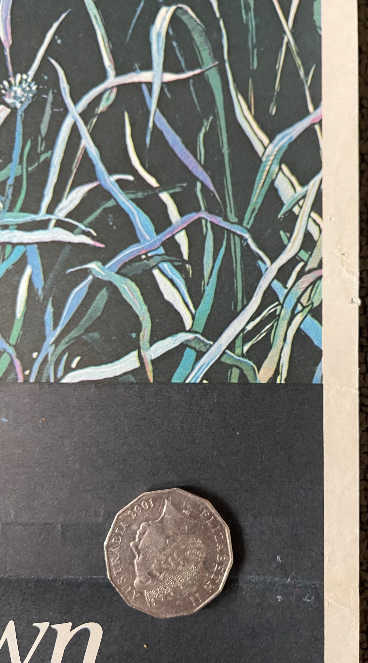 Watership Down (1978) - Daybill