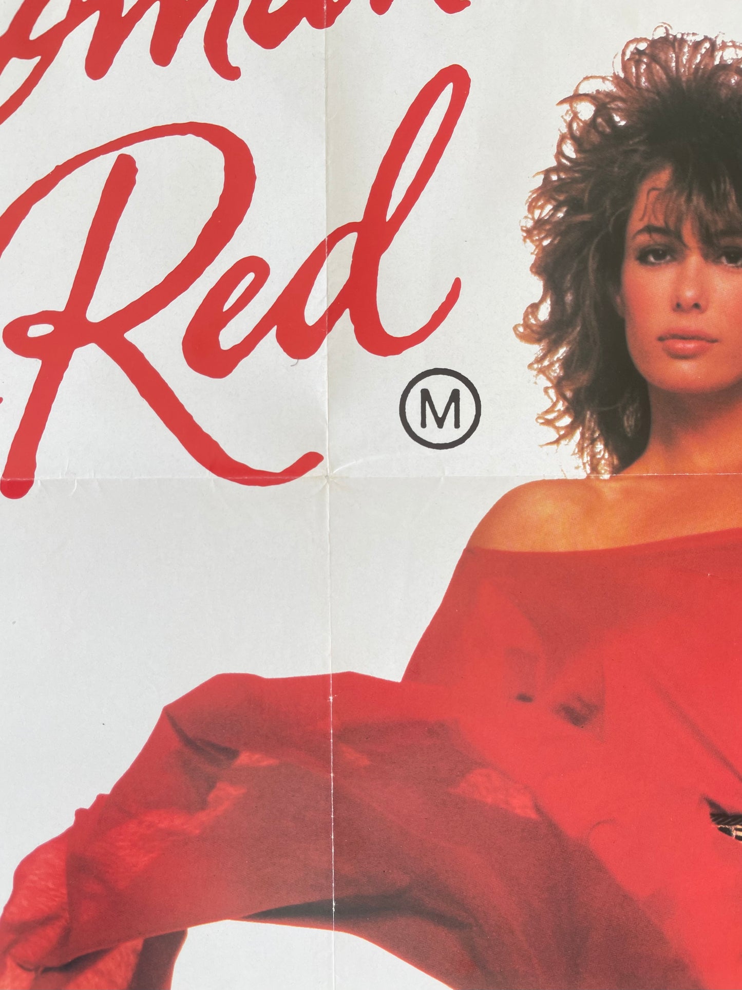 The Woman in Red (1984) - One Sheet