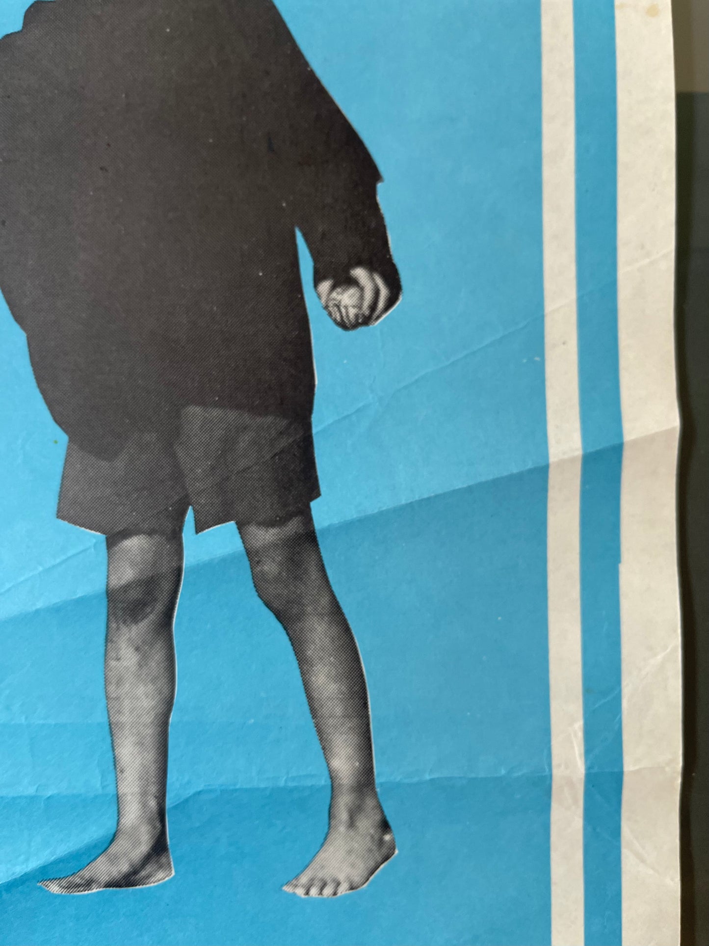 Storm Boy (1976) - Daybill