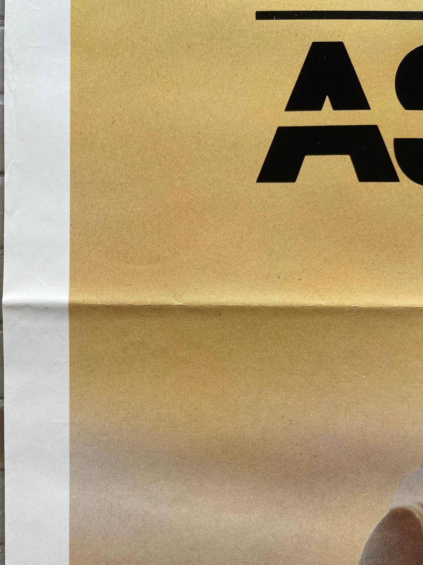 Assassination (1987) Charles Bronson - One Sheet