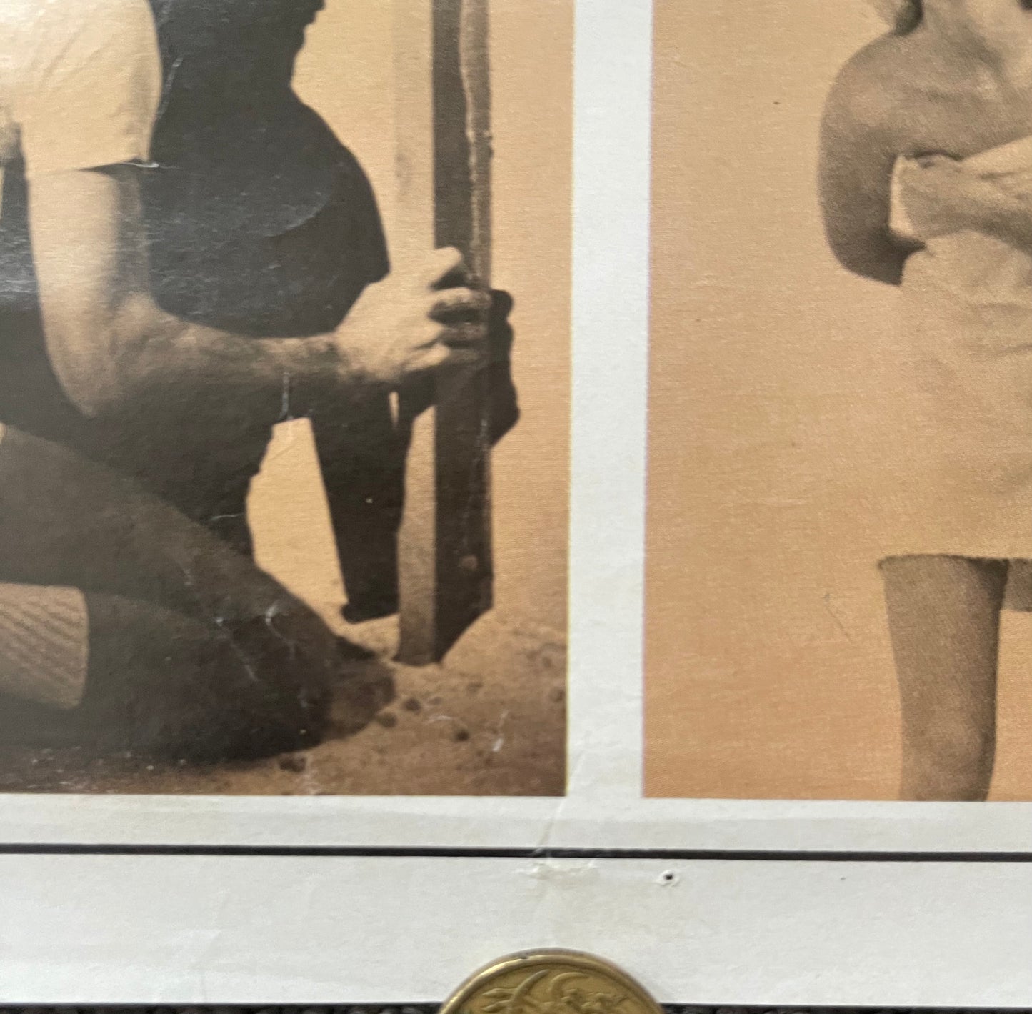 Porky’s (1981) - Daybill