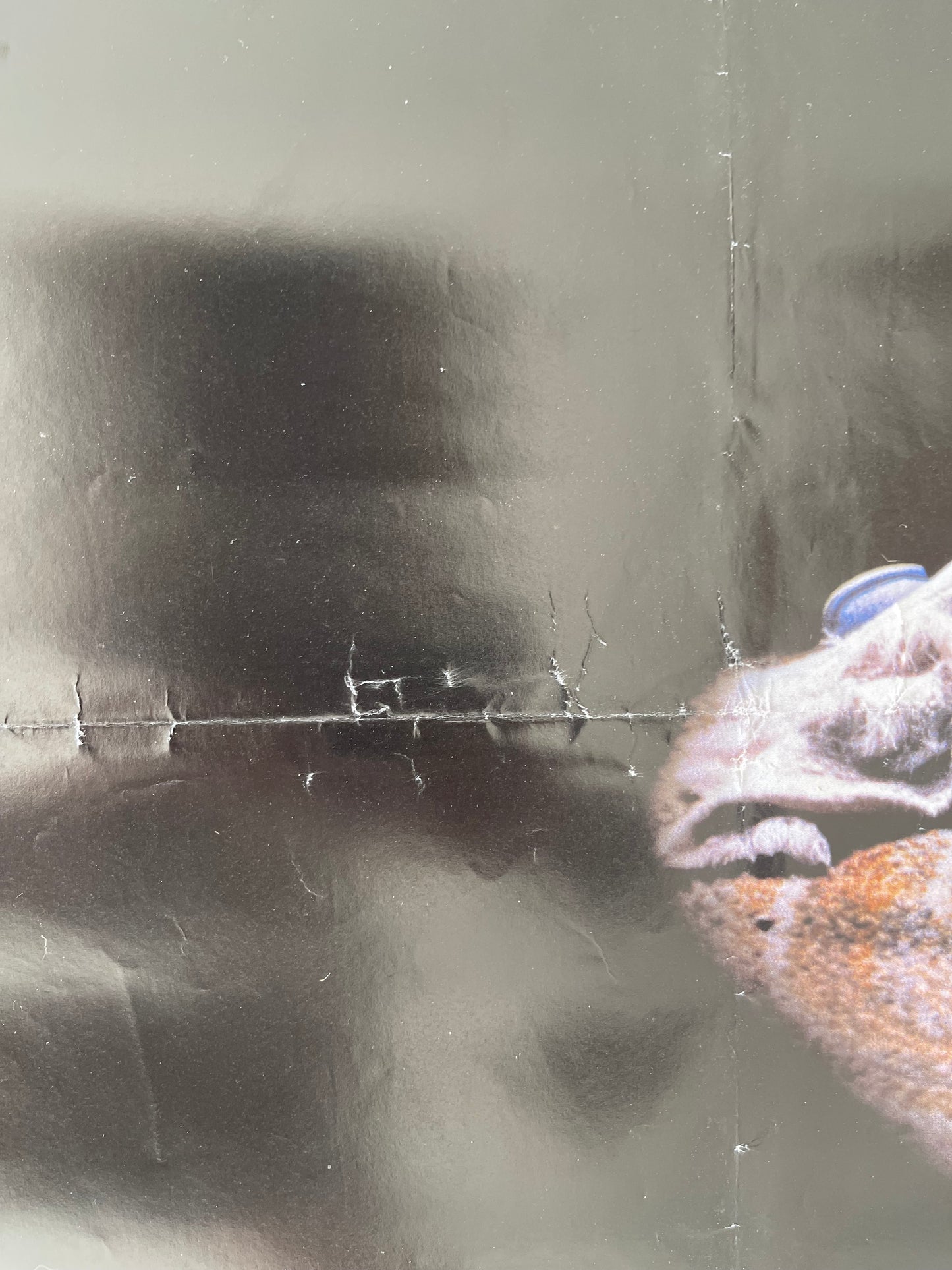 Poltergeist 2 (1986) - One Sheet