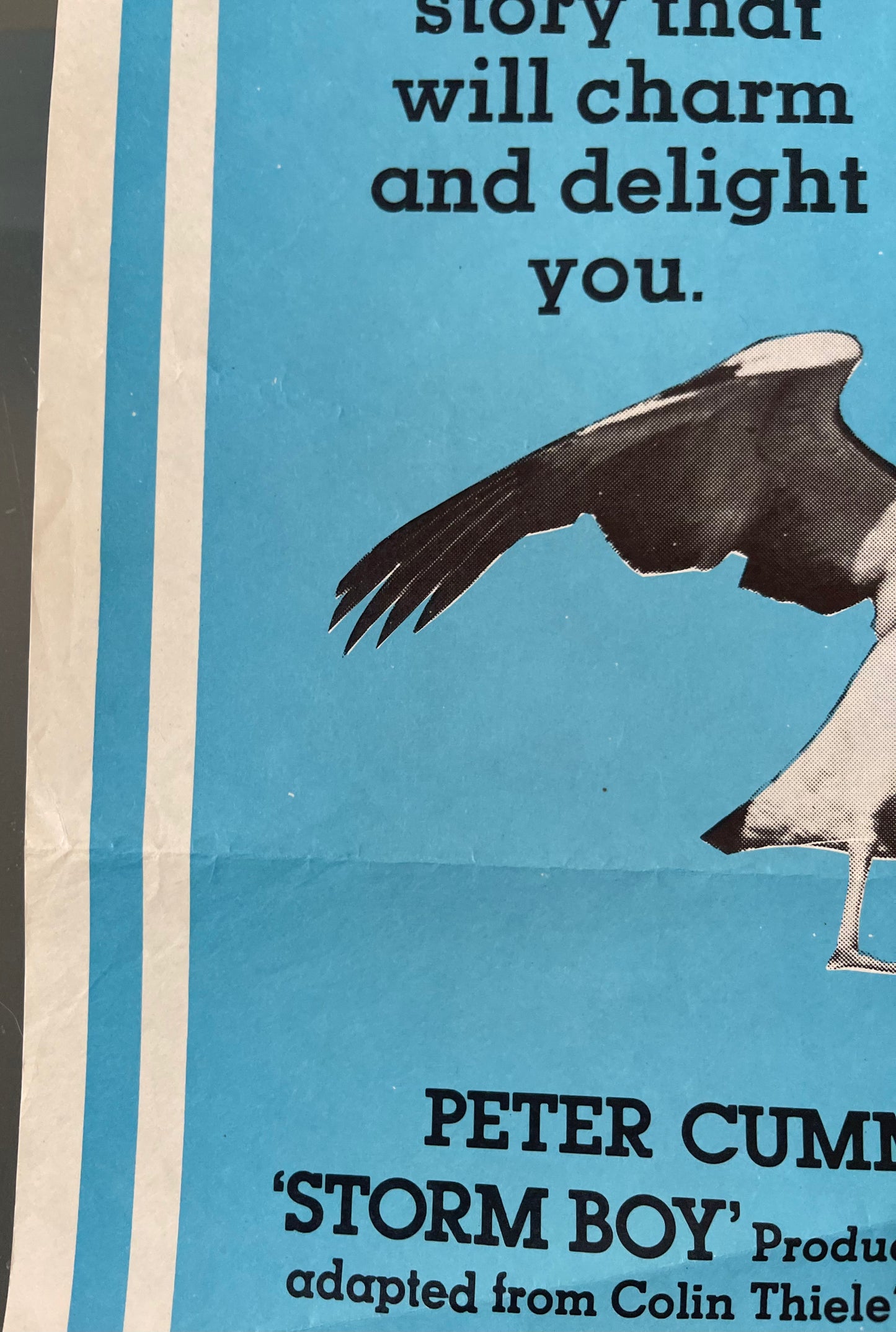 Storm Boy (1976) - Daybill
