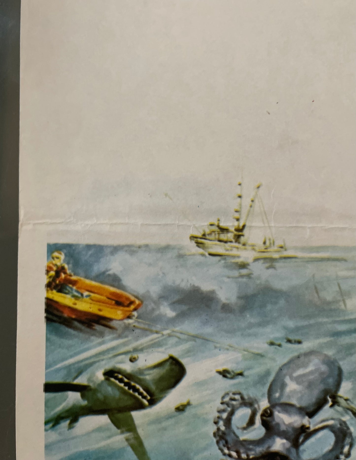 Joey And The Dolphin (1984) - Daybill