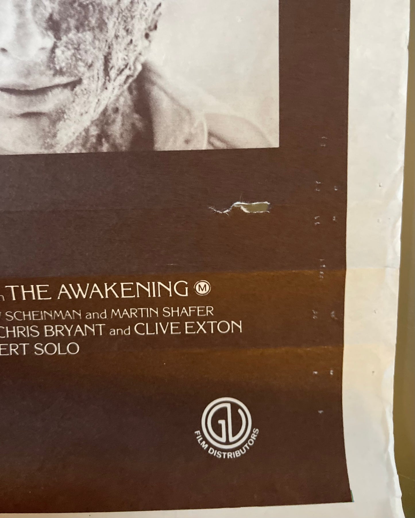 The Awakening (1980) Charlton Heston - Daybill