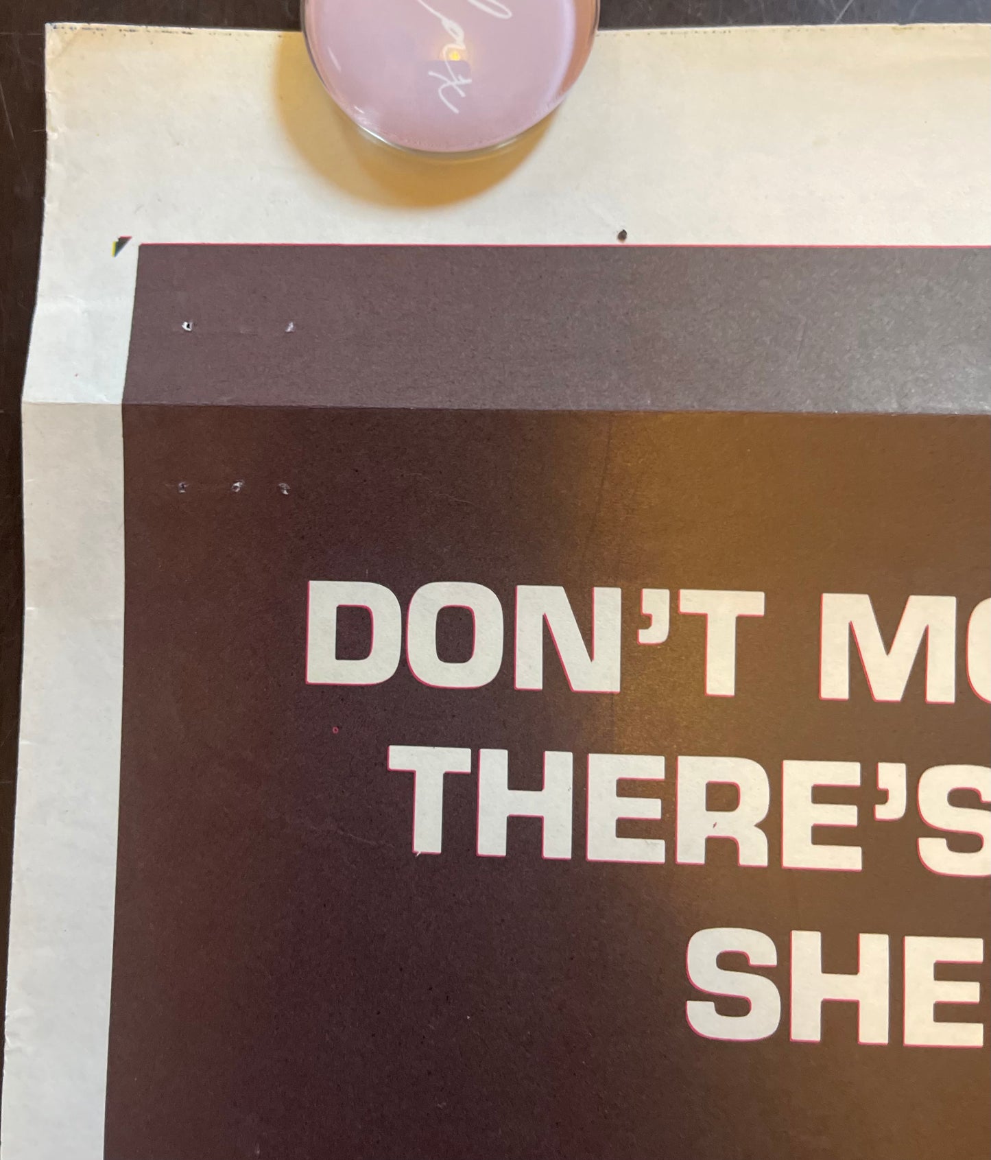 Prophecy (1979) - Daybill