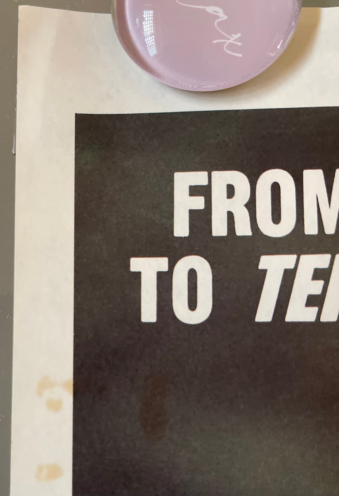 Monster- Humanoids from the Deep (1980) - Daybill