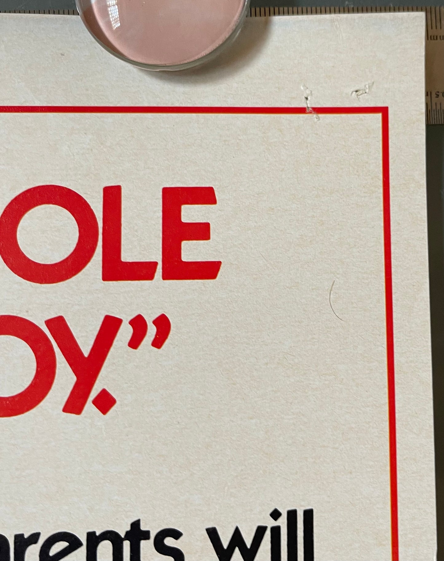 Sesame Street: Follow that Bird (1985) - Daybill