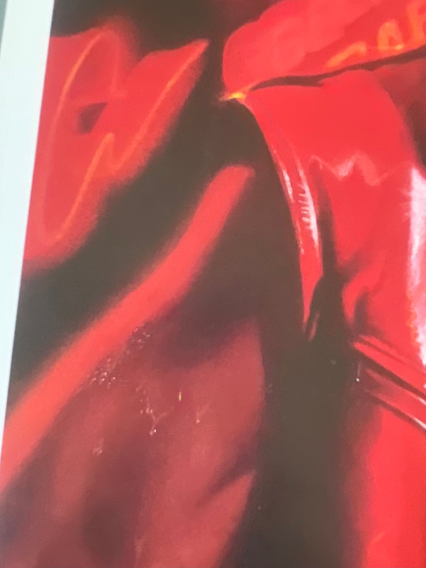 Street Hero (1984) - Daybill