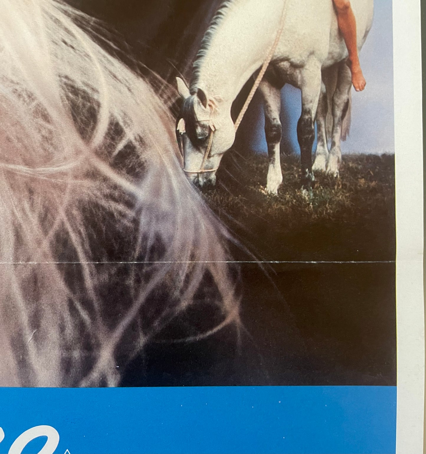 Bolero (1984) - Daybill